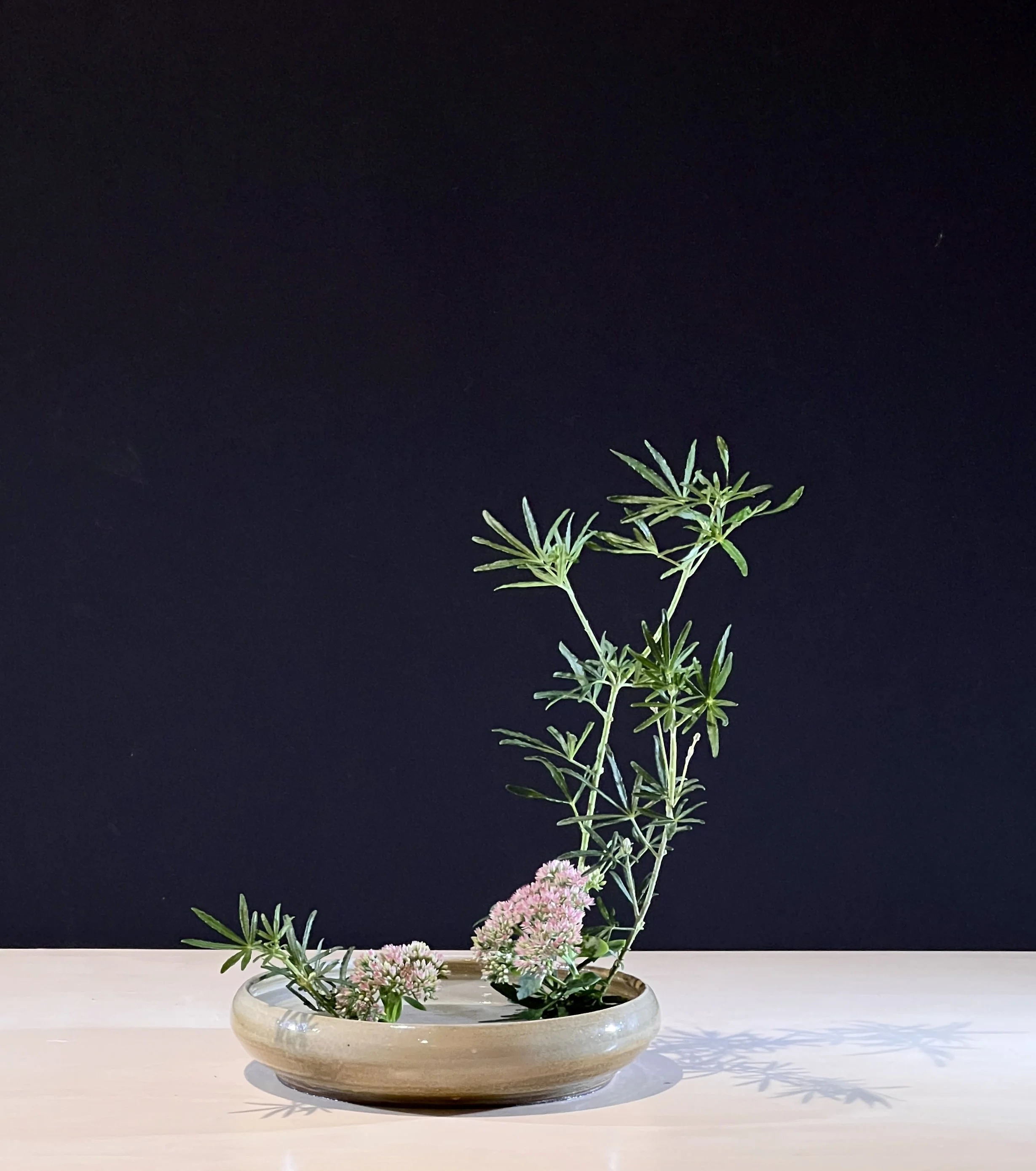 Var. 5 Upright Style Moribana Nijmegen Pauline 
