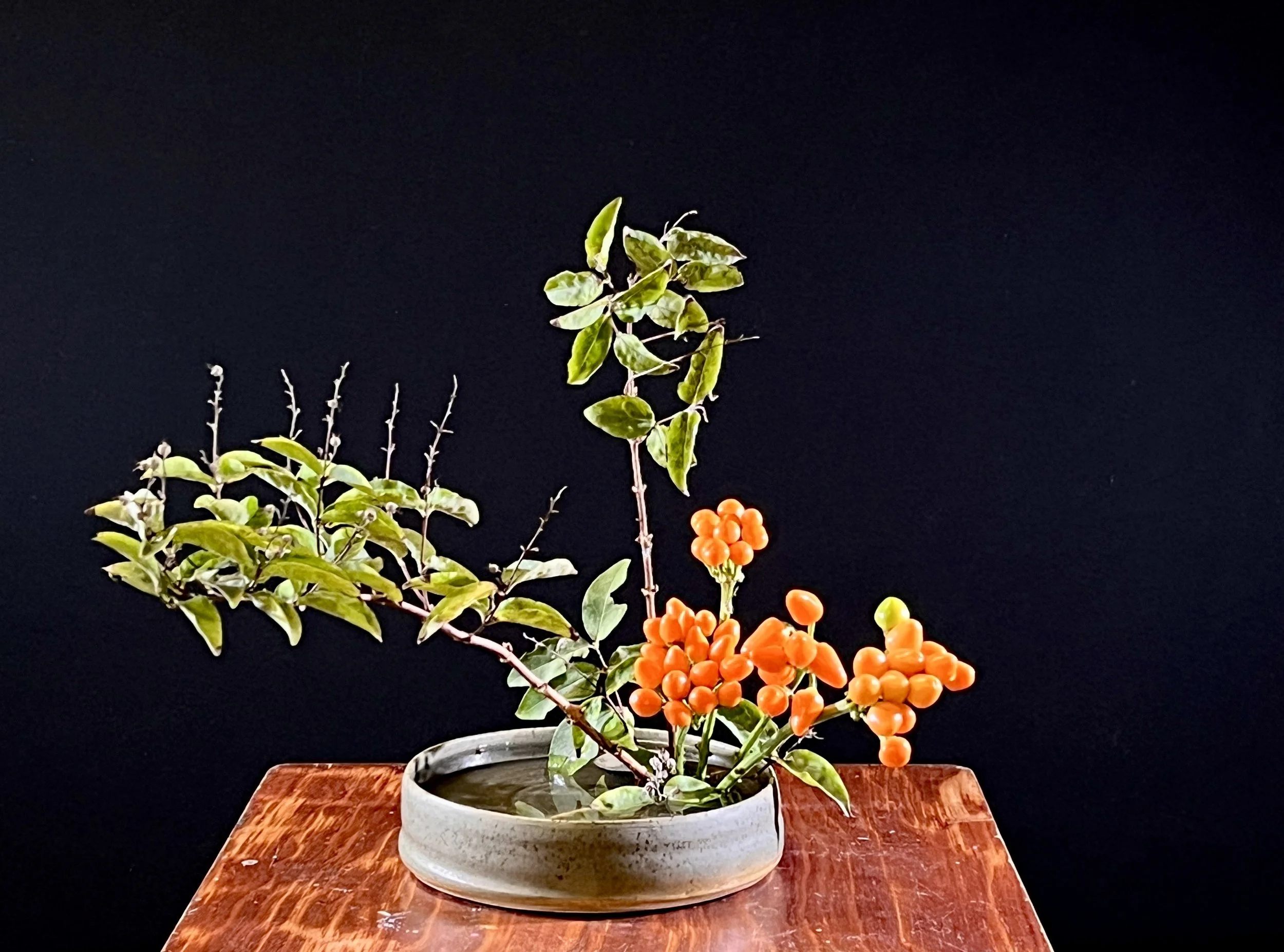 Voorbeeldschikking  middag 