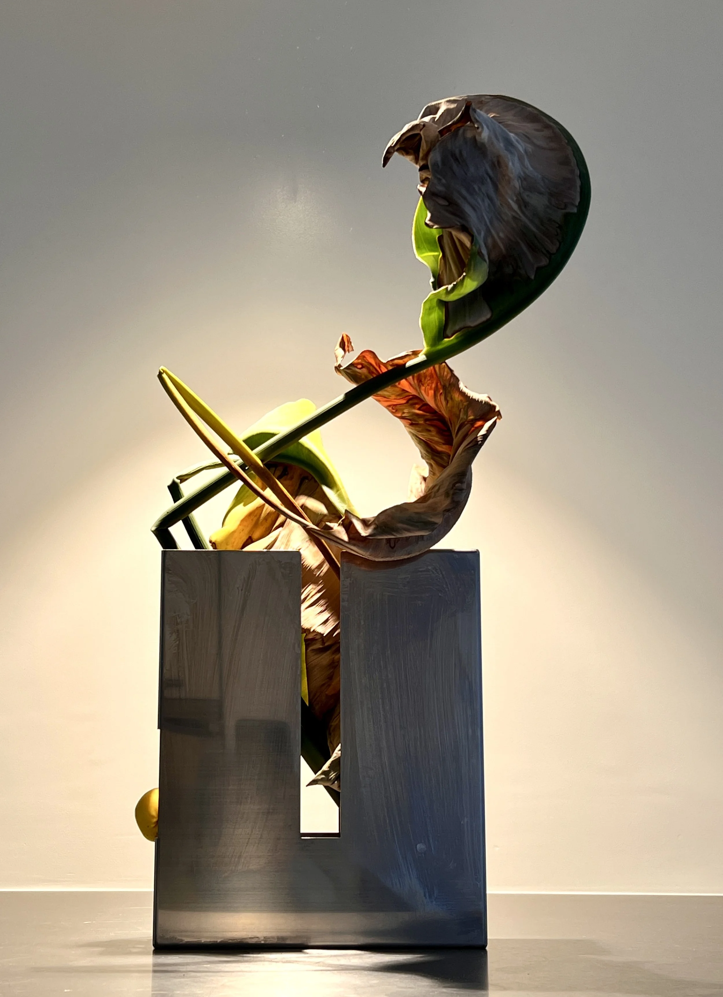 Shape of the Container 