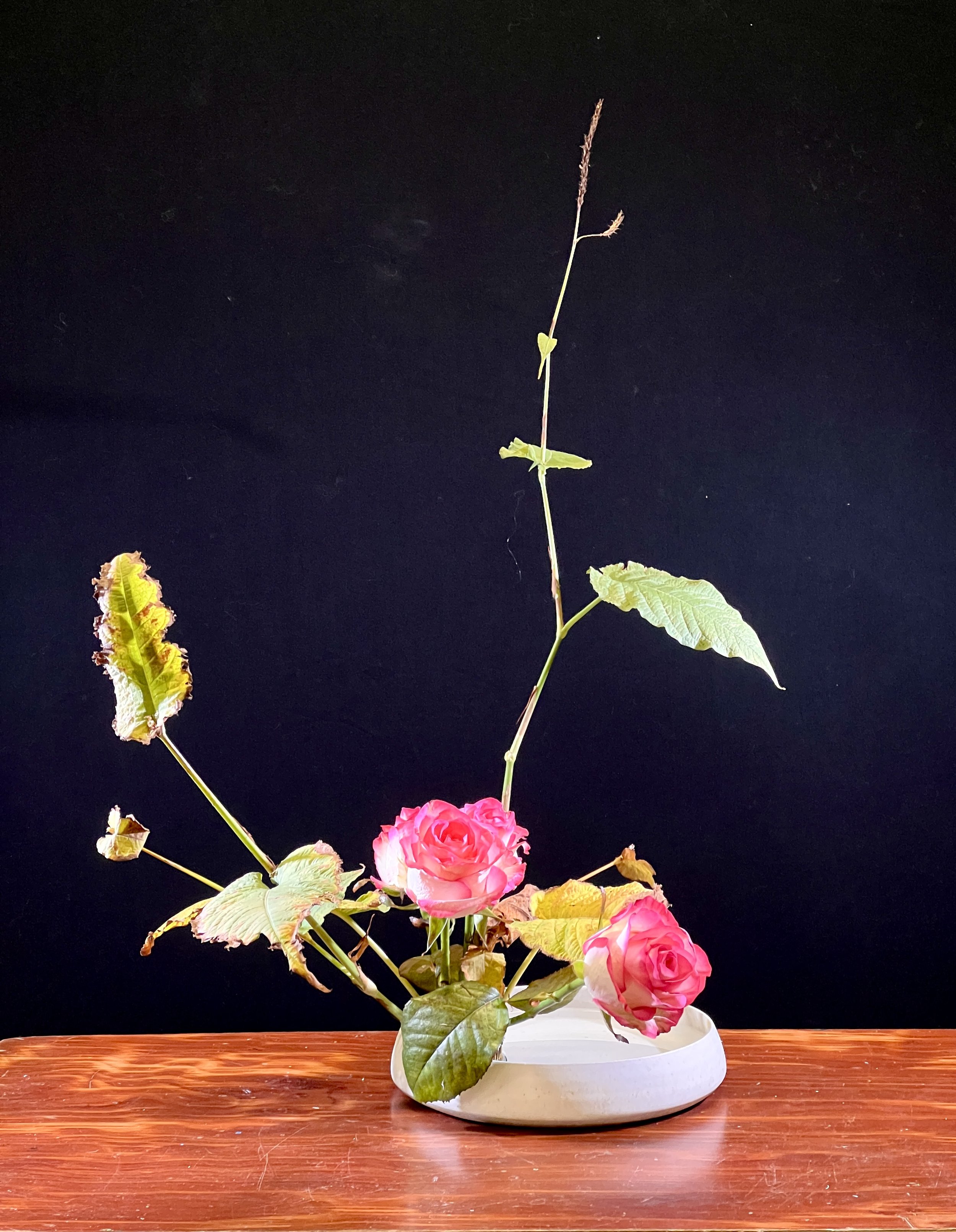 Voorbeeldschikking Middagles