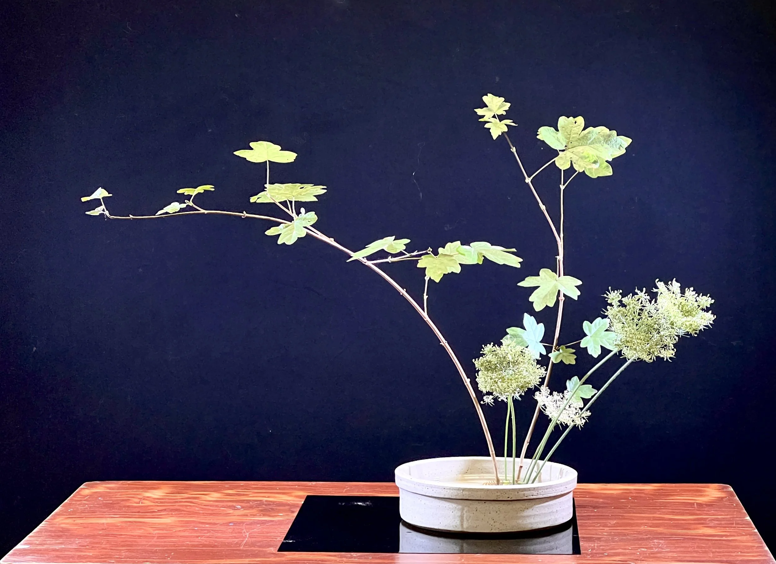 Mireille var. 1 Slanting Style Moribana