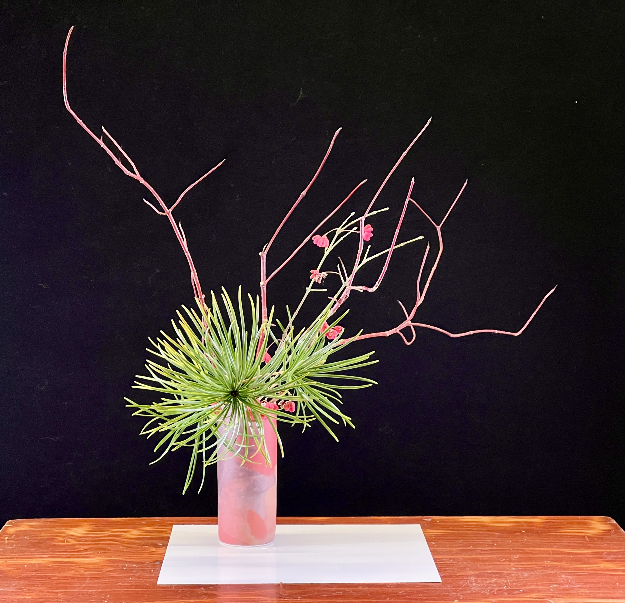 Voorbeeldschikking Jika Dome 