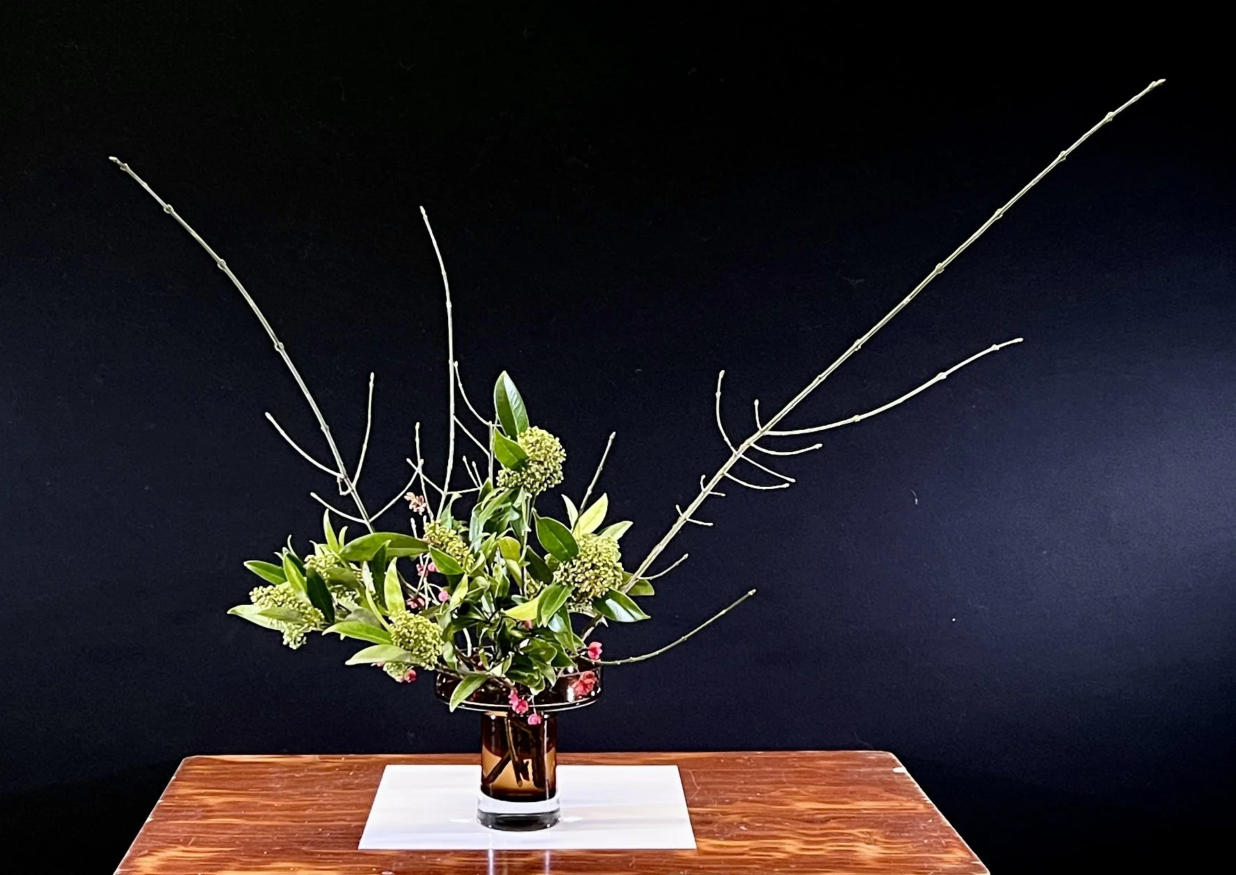 Voorbeeldschikking  Jika Dome 