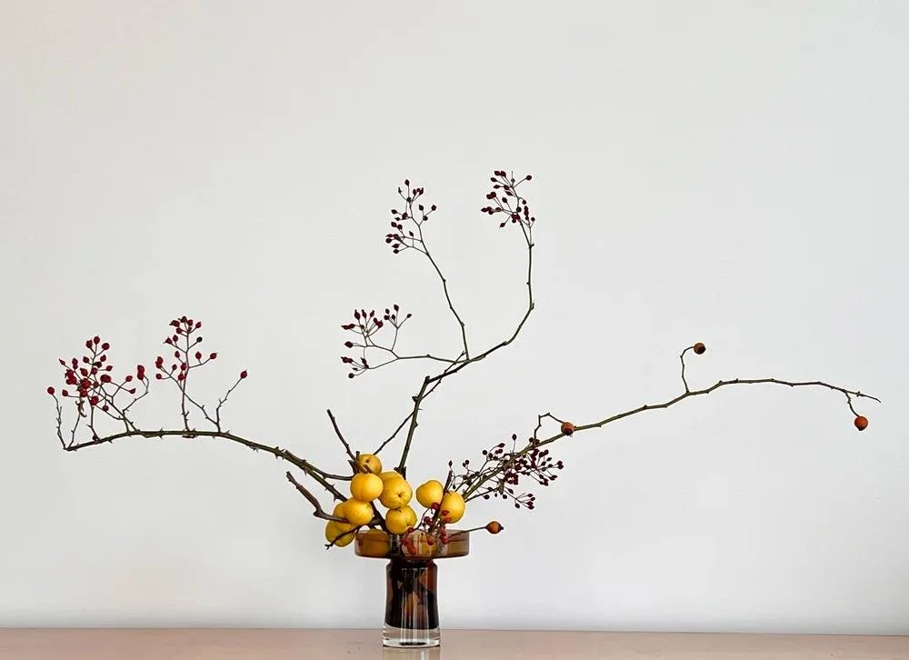 Voorbeeldschikking Jika Dome 