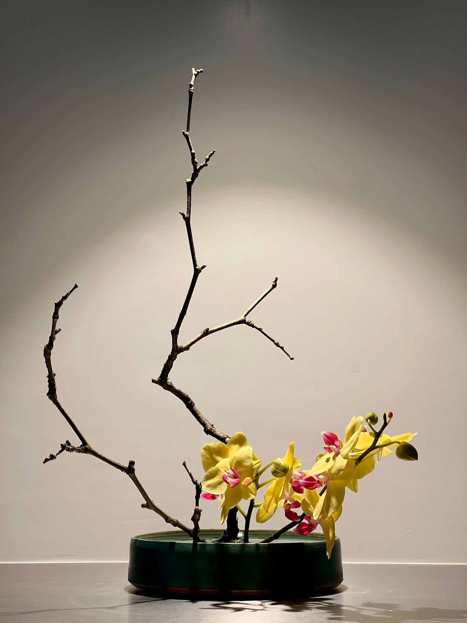 Voorbeeldschikking Basic Upright Style Moribana 