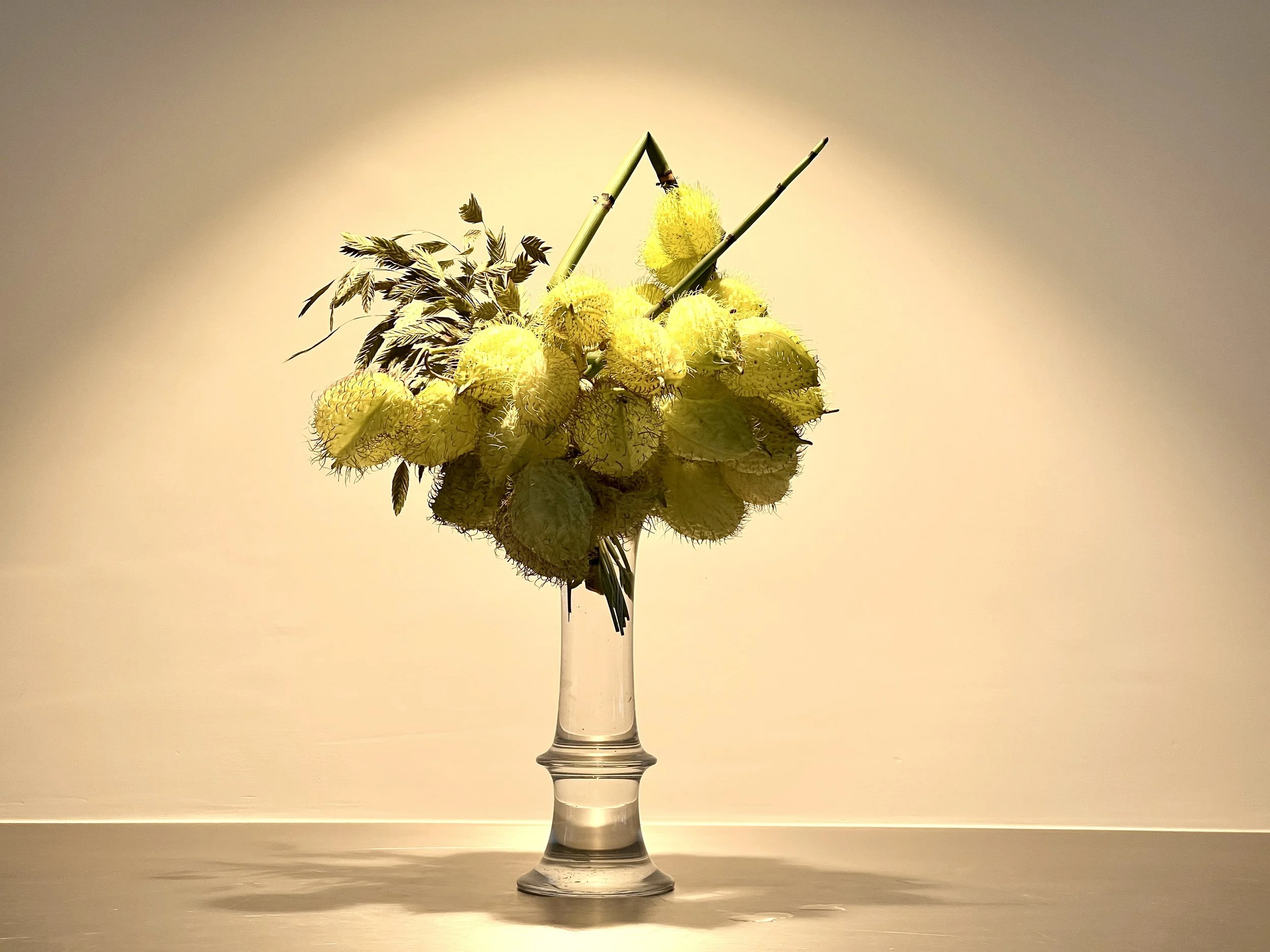 Voorbeeldschikking Green Plant Materials Only 