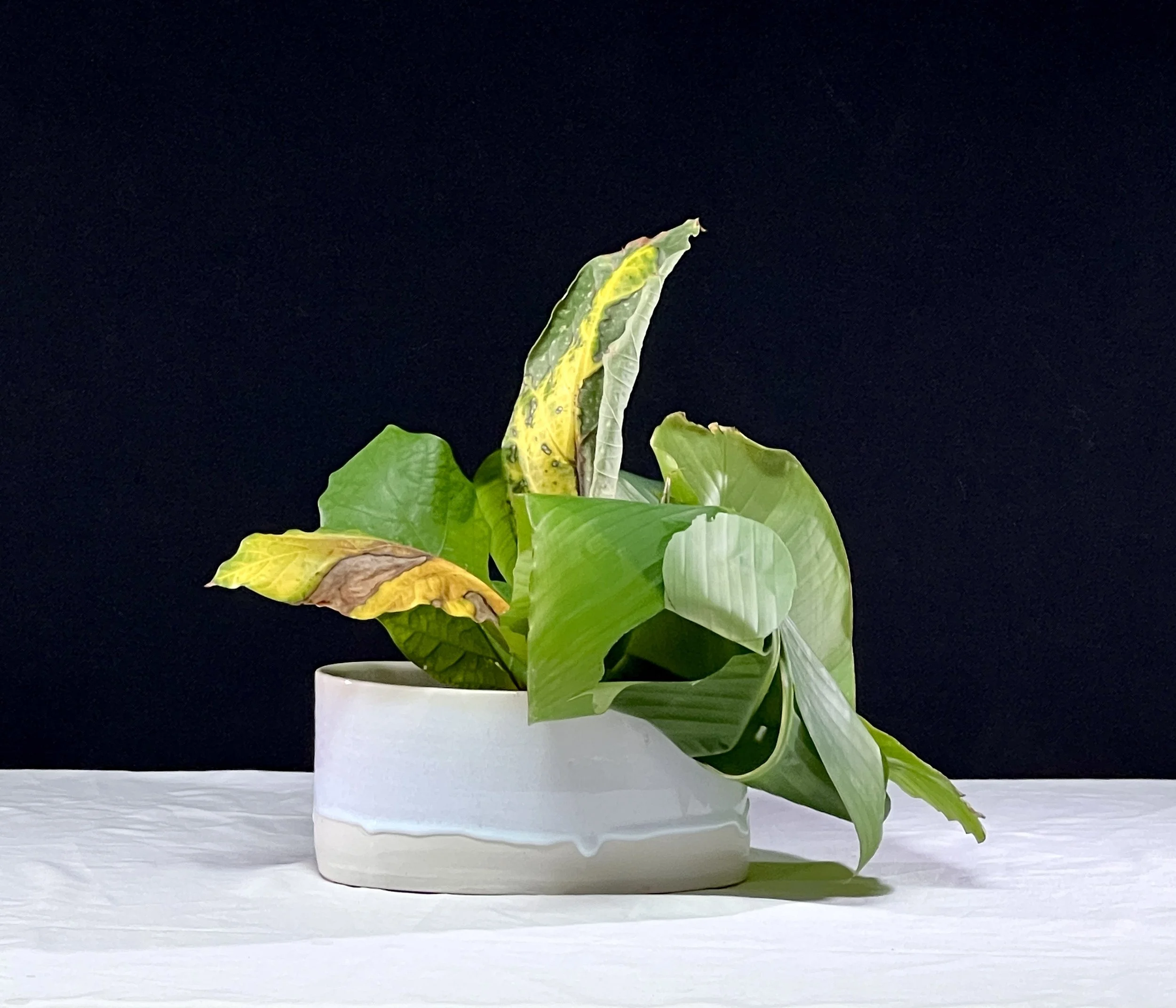 Voorbeeldschikking Leaves Only 