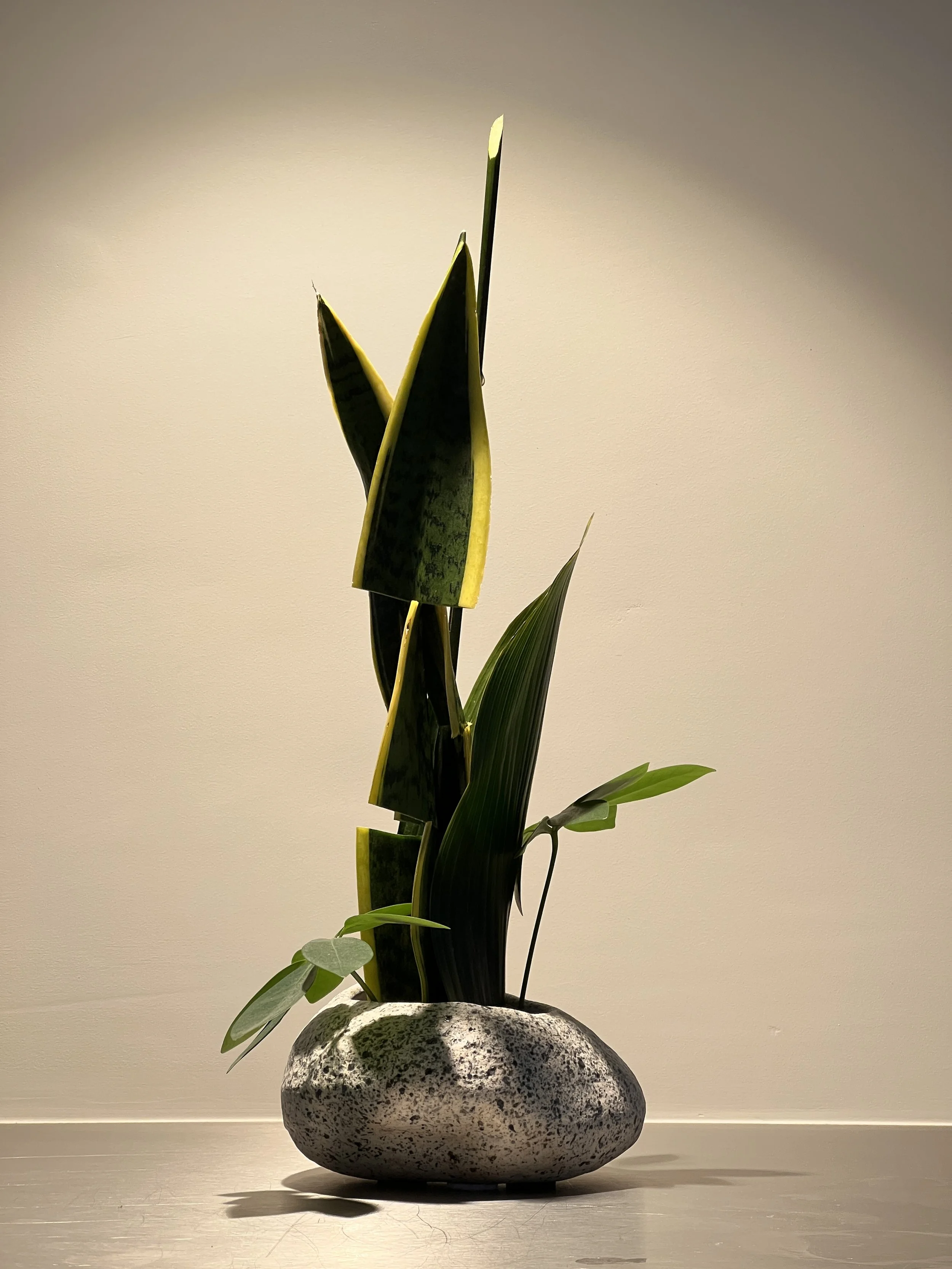 Voorbeeldschikking Leaves Only 