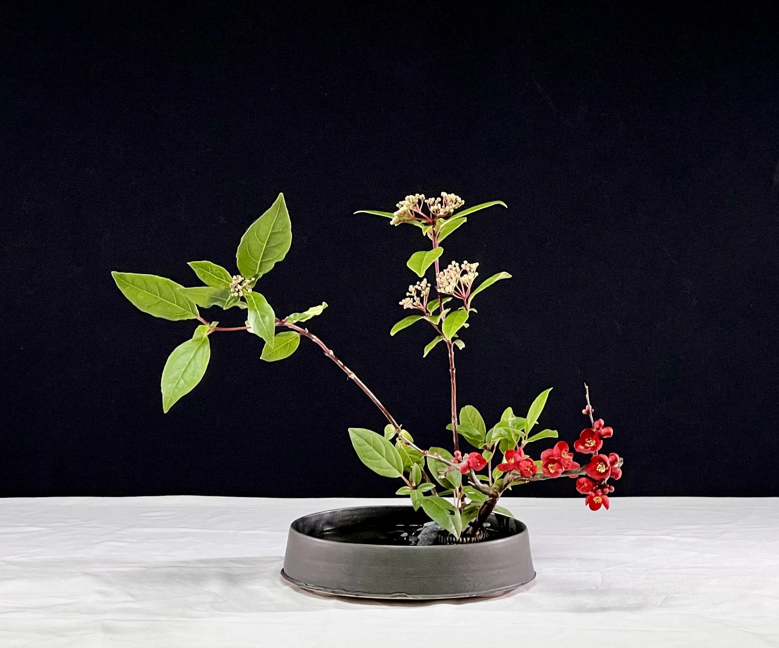 Voorbeeldschikking Basic Slanting Style Moribana