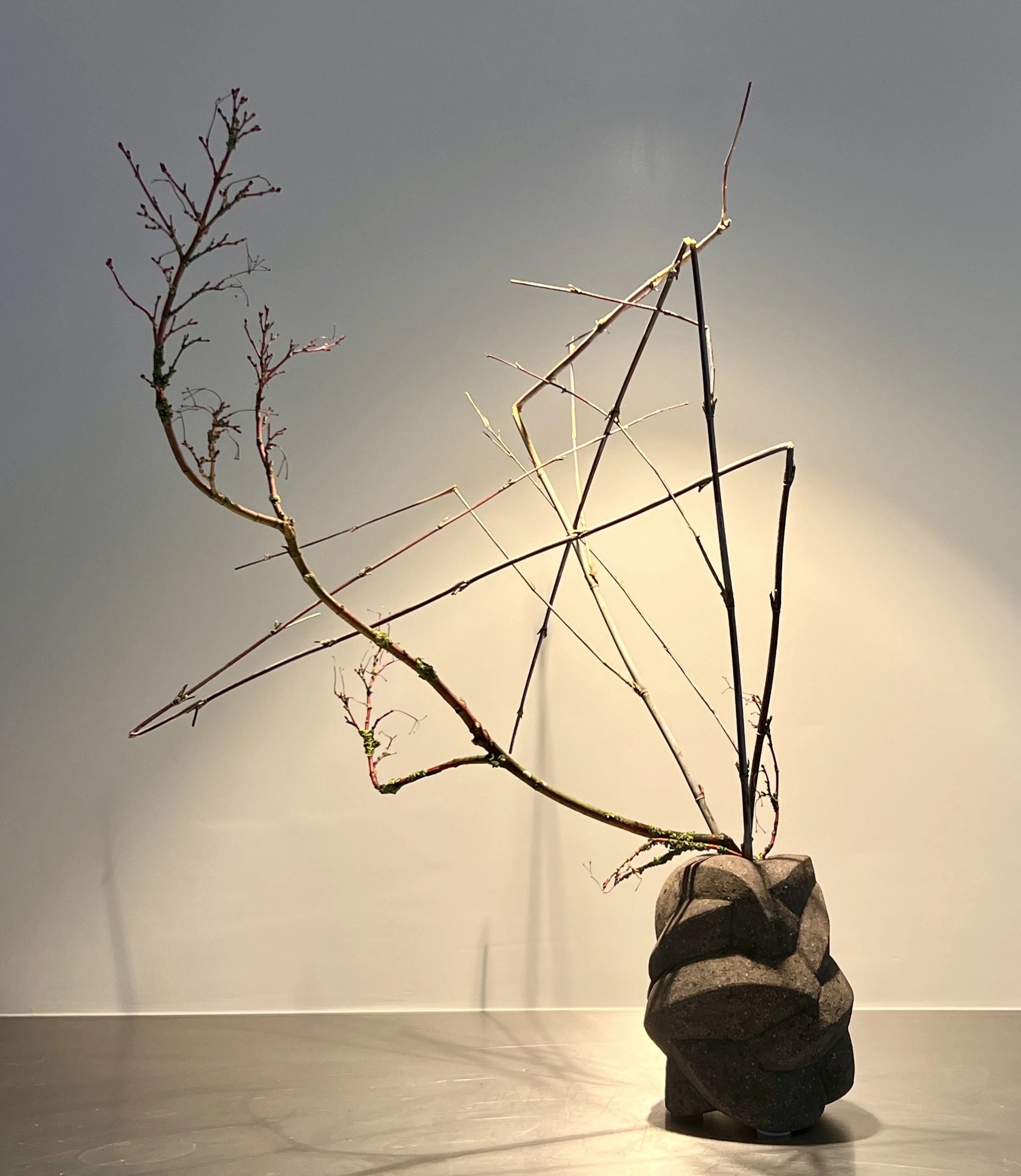 Voorbeeldschikking Straight and Curved Lines. 