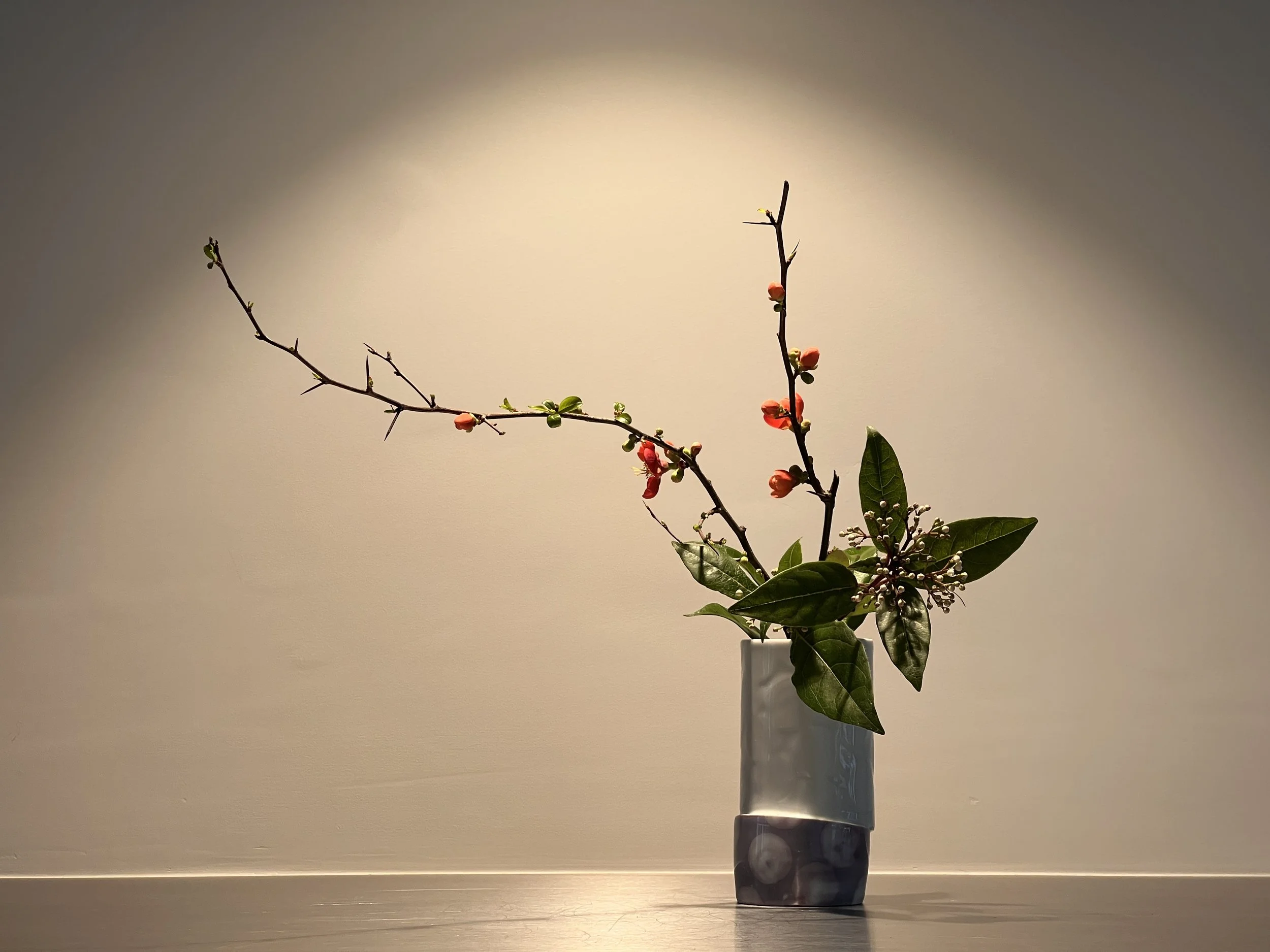 Voorbeeldschikking Basic Slanting Style Nageire 