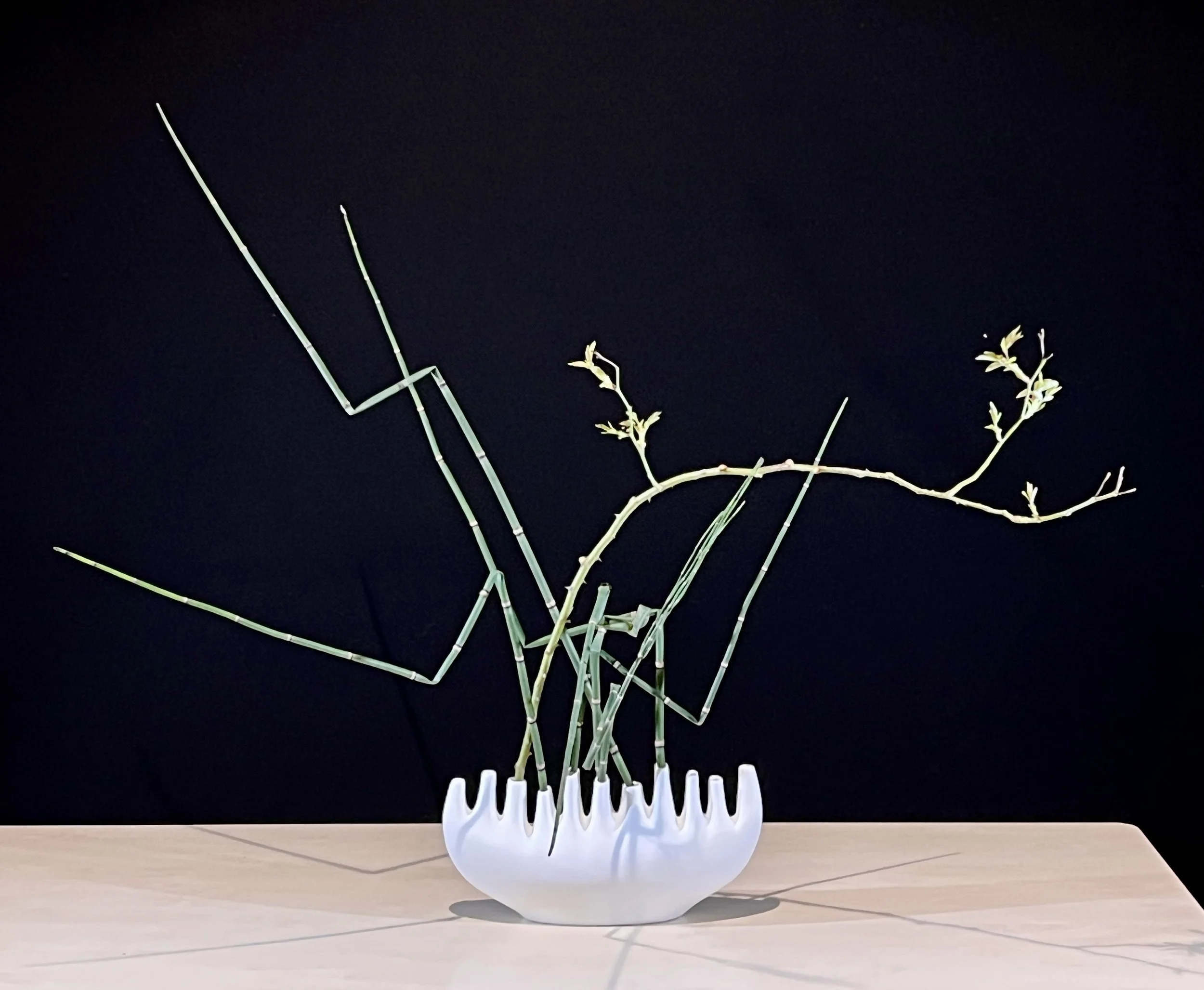 Voorbeeldschikking Arr. Straight and Curved Lines. 