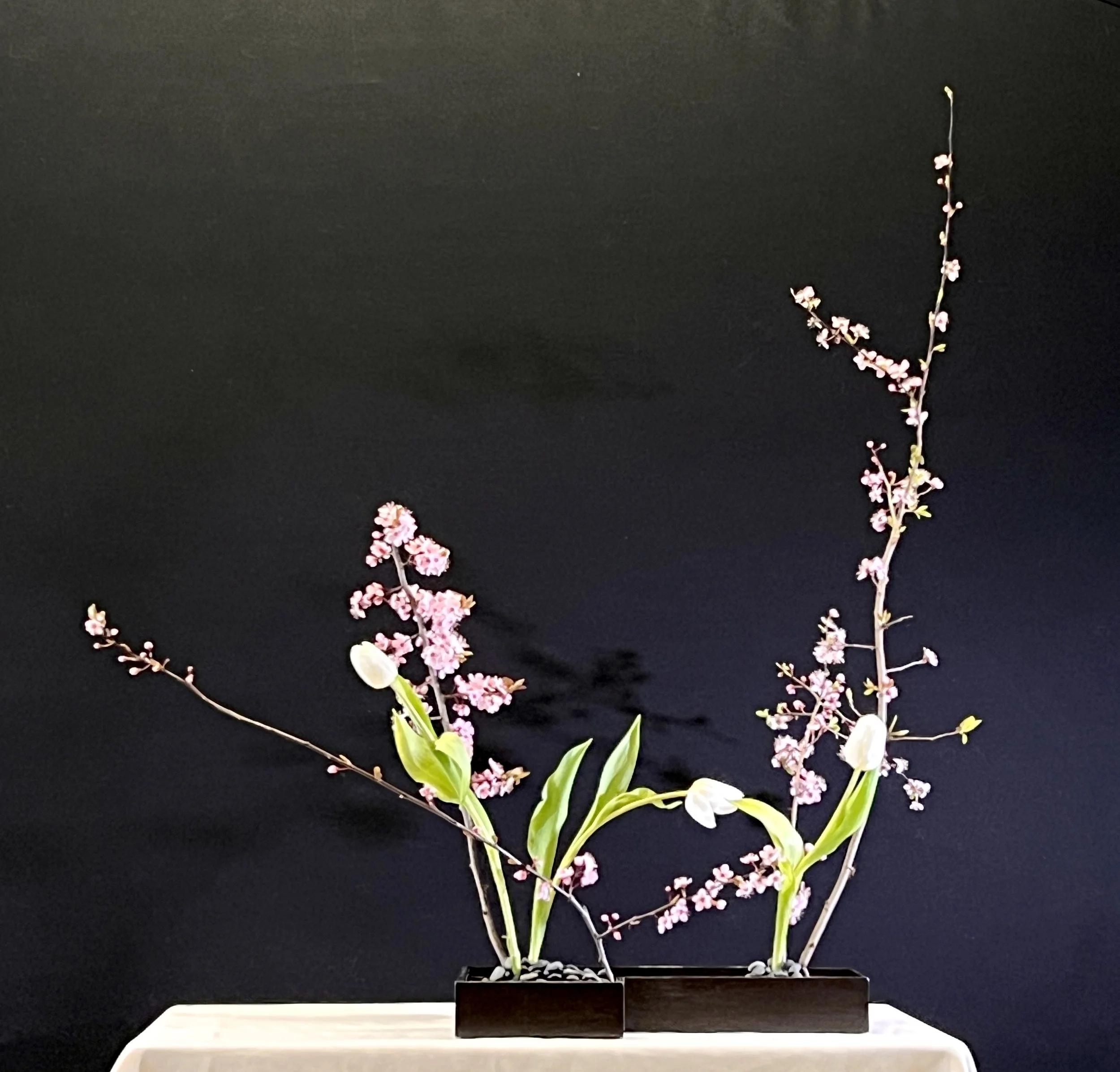 Voorbeeldschikking Ka-Bu-Wa-Ke Middag