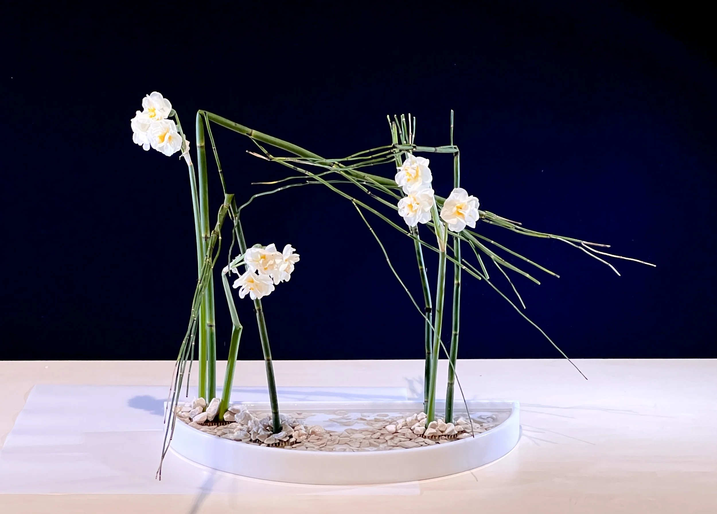 Voorbeeldschikking Fruits and/or Vegetables in an Arrangement