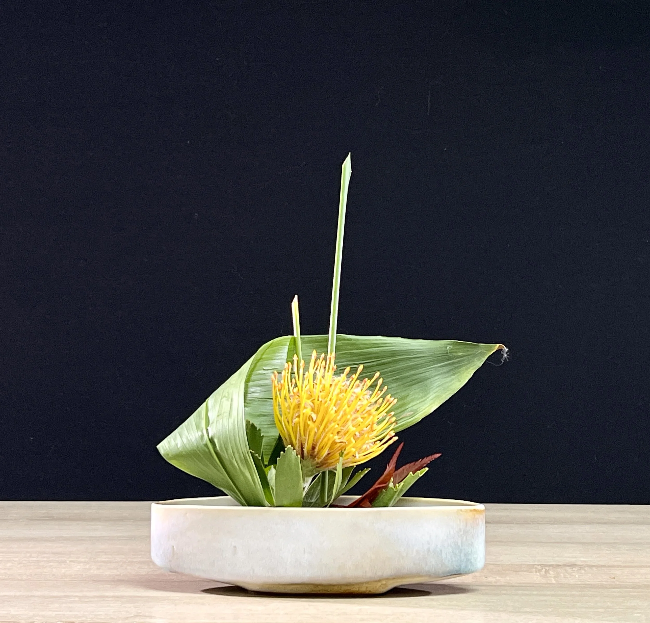 Liesbeth  Free Arrangement 