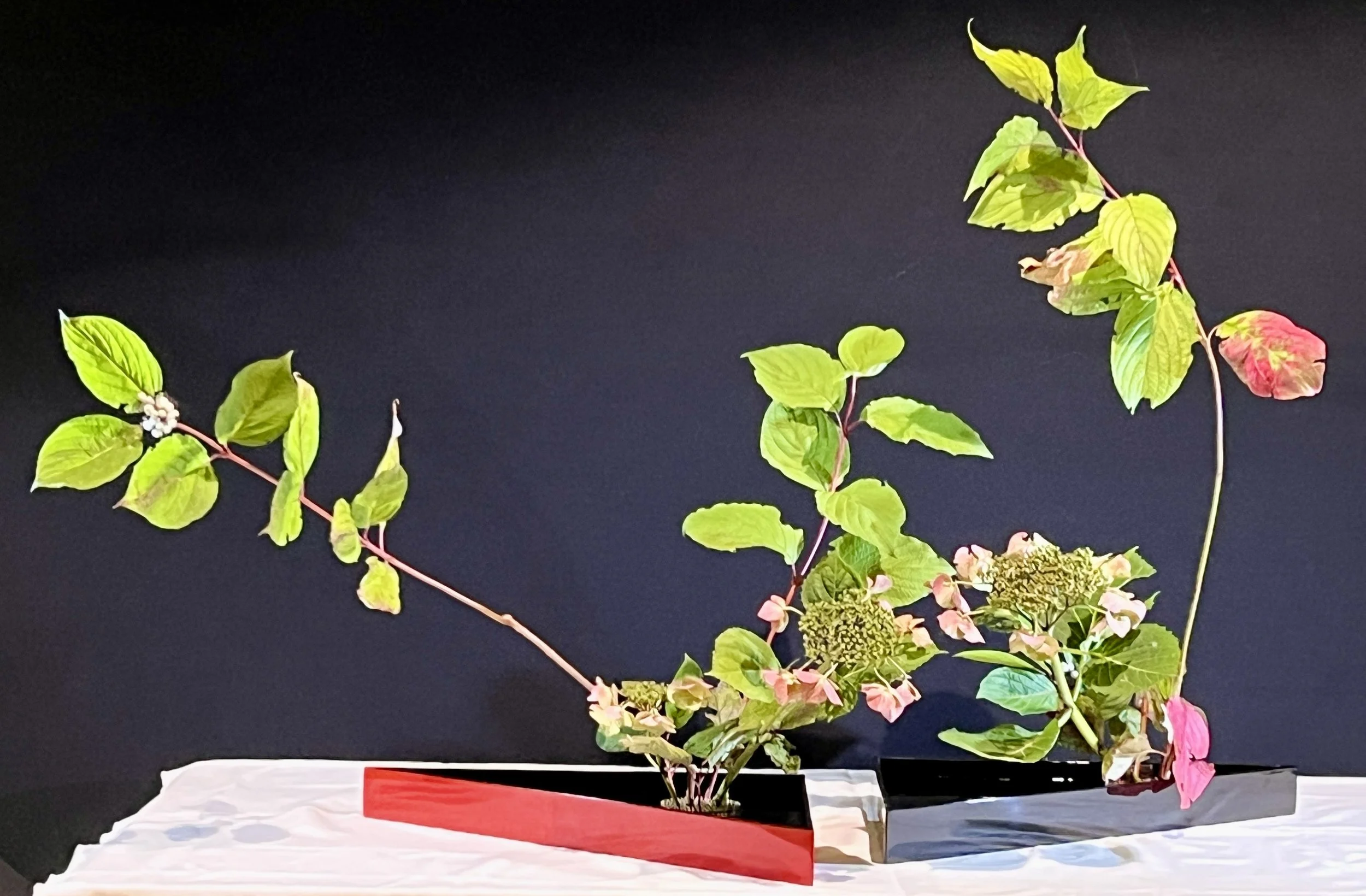 Voorbeeldschikking Var. 8 Combined Styles Moribana and Moribana