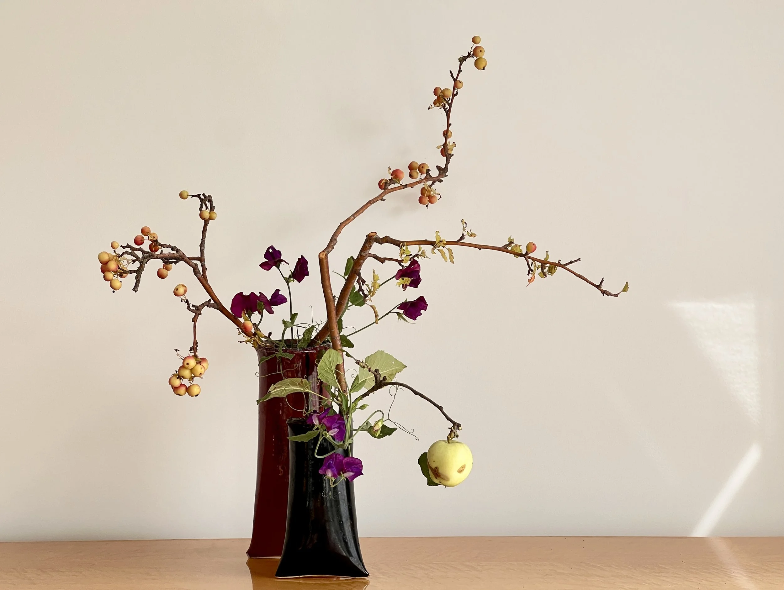 Voorbeeldschikking Fruiting Plant Material 