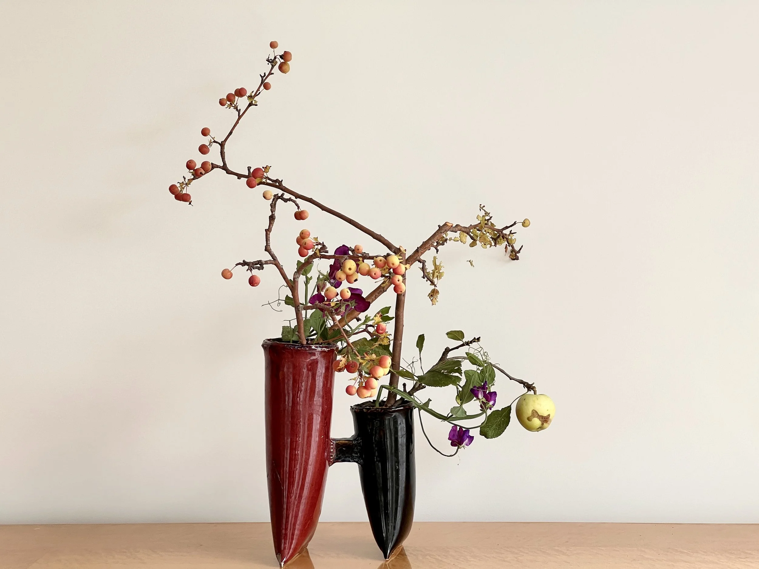 Zijkant schikking Fruiting Plant Material 
