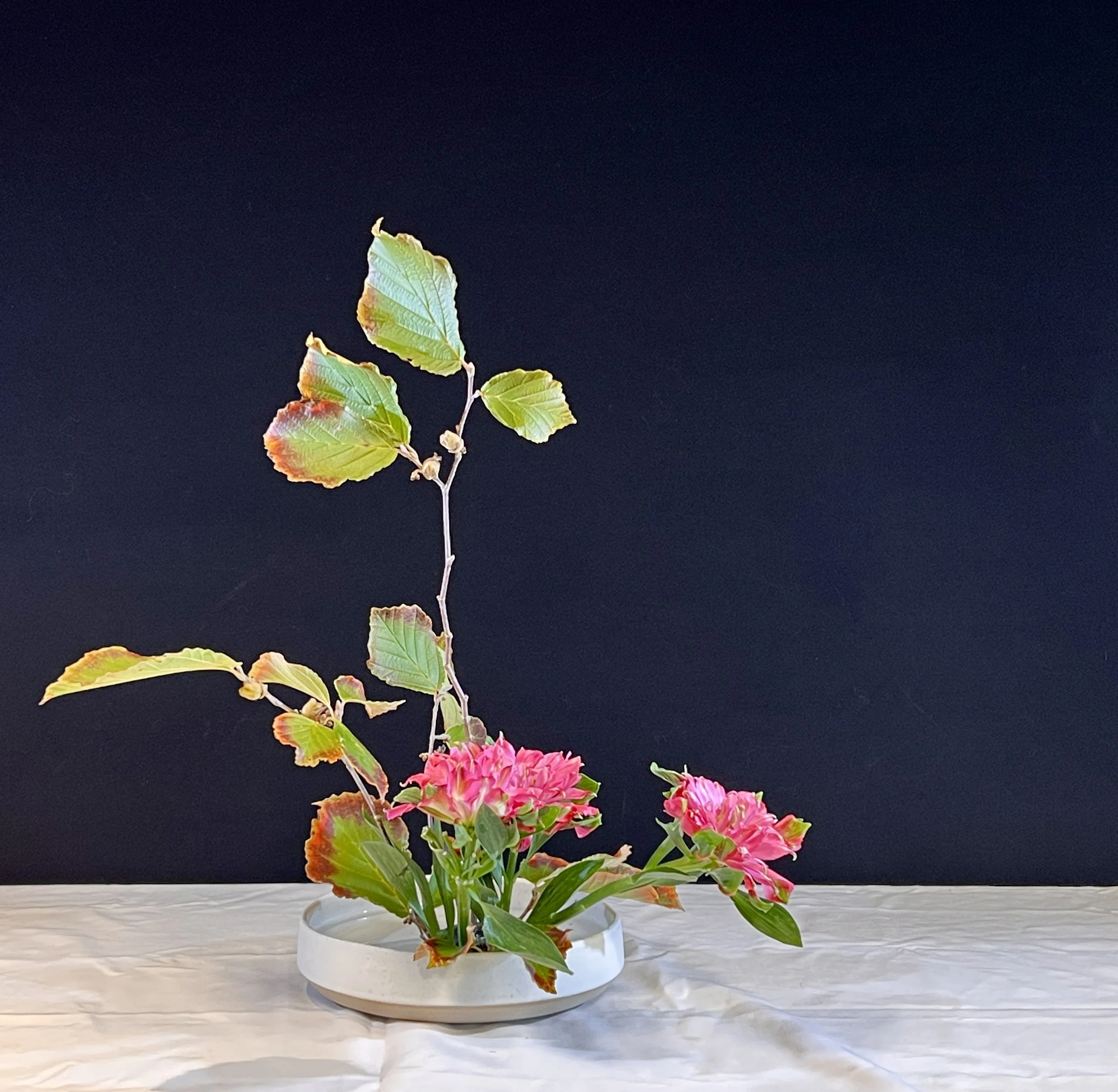 Voorbeeldschikking Basic Upright Moribana