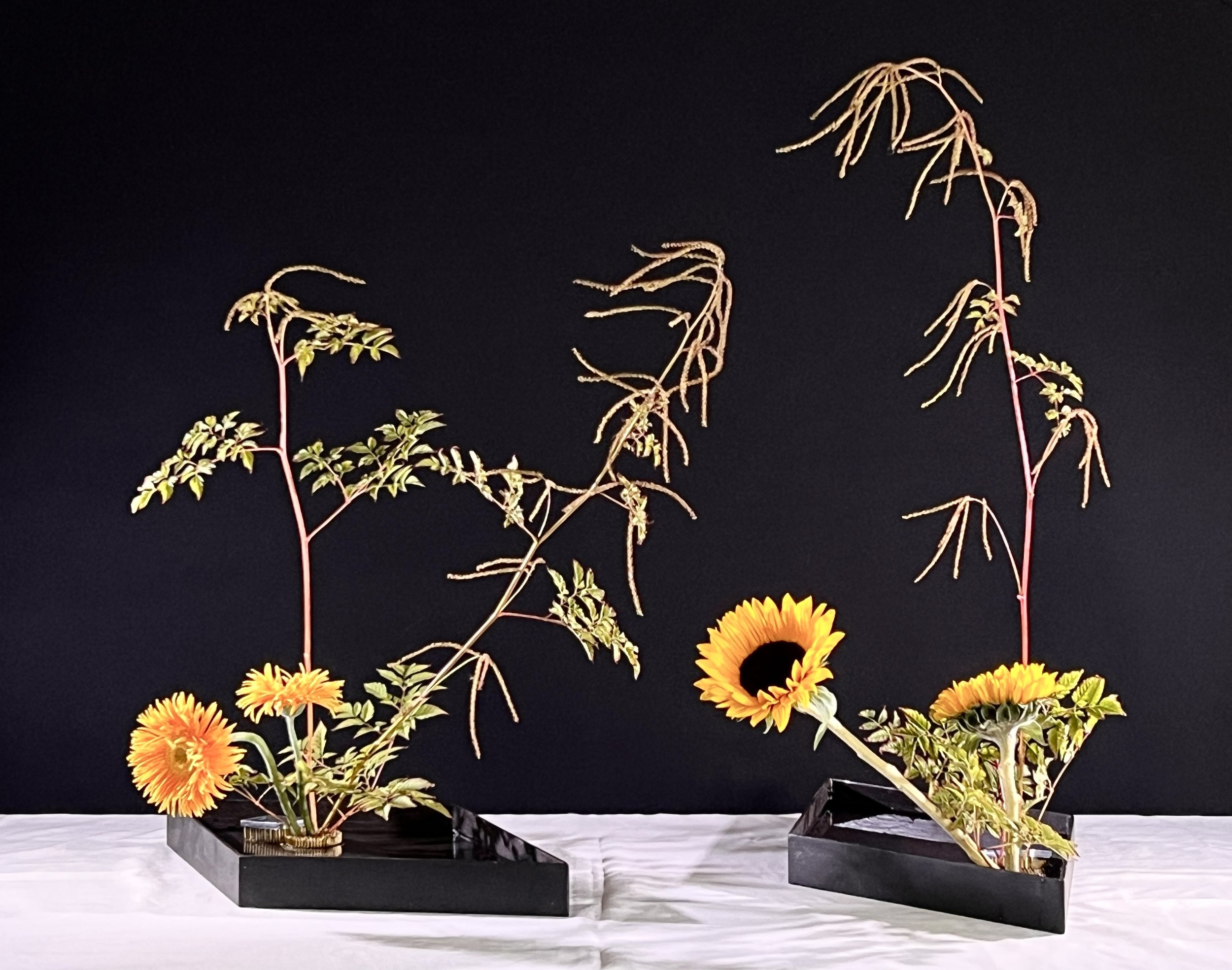 Voorbeeldschikking var. 8 Moribana  (Basic Slanting Hongatte) &amp; Moribana (var. 4)