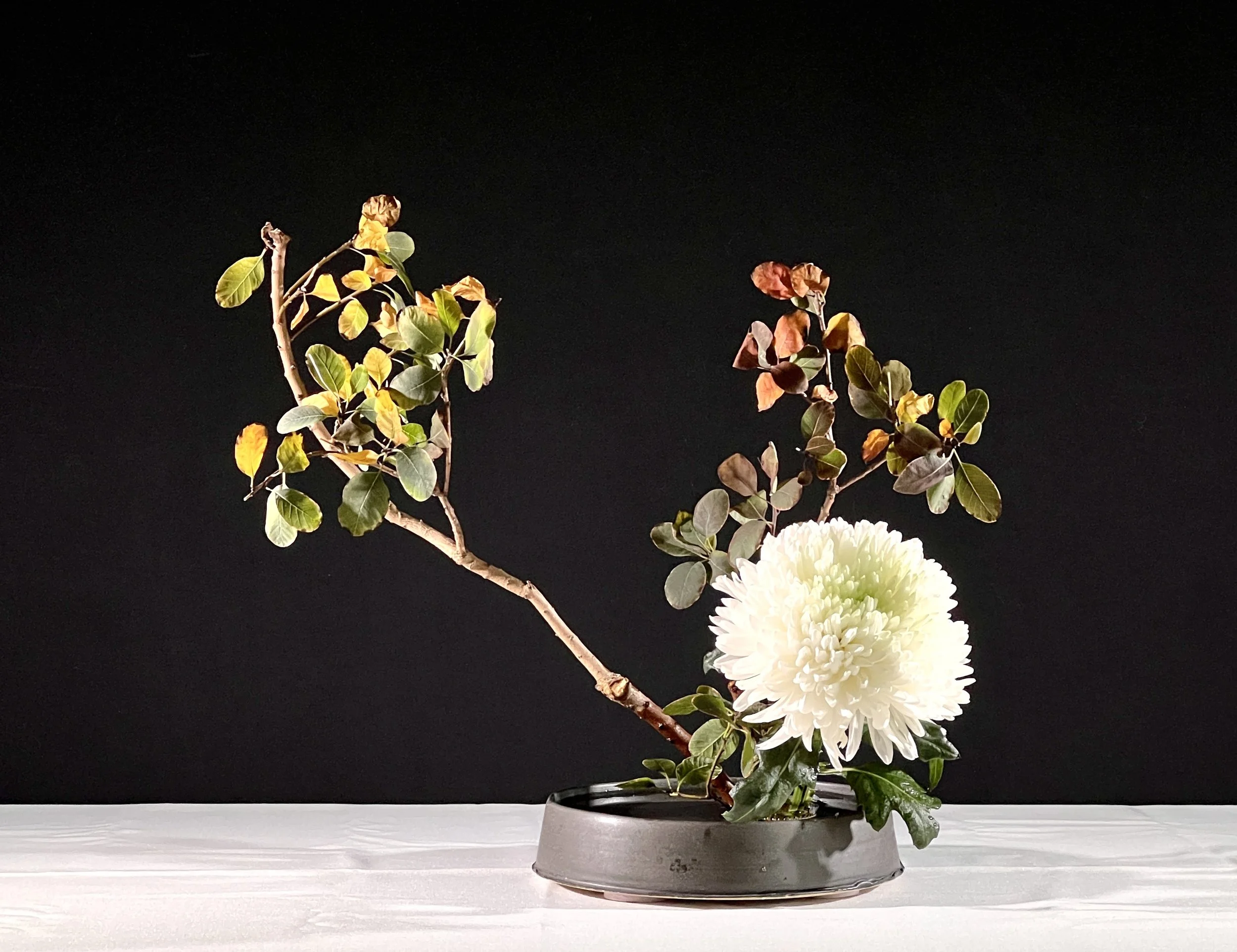 Voorbeeldschikking Basic Slanting Style Moribana