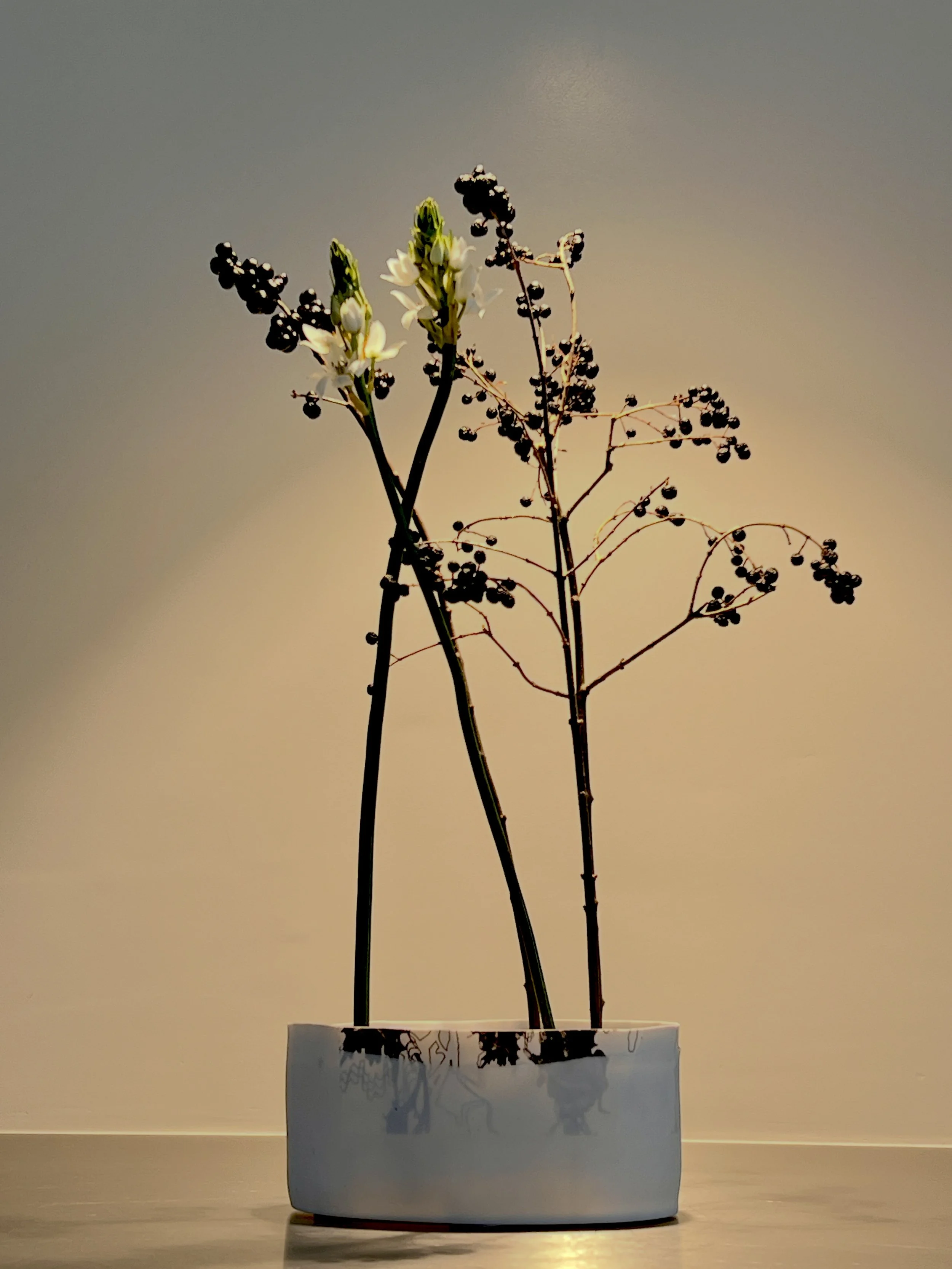 Voorbeeldschikking Showing Lines at the Base' 