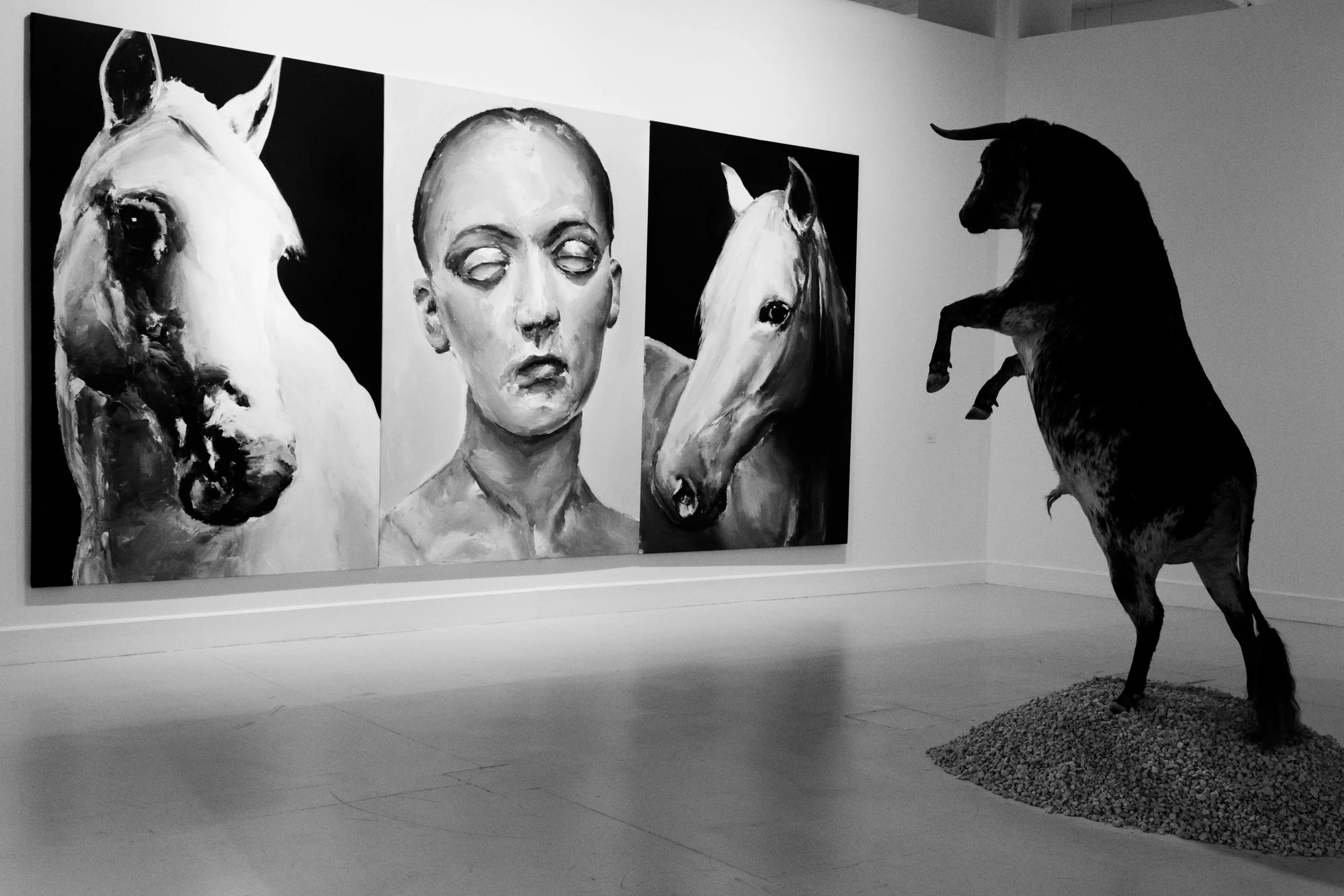 Les Toros - Jacques Brel