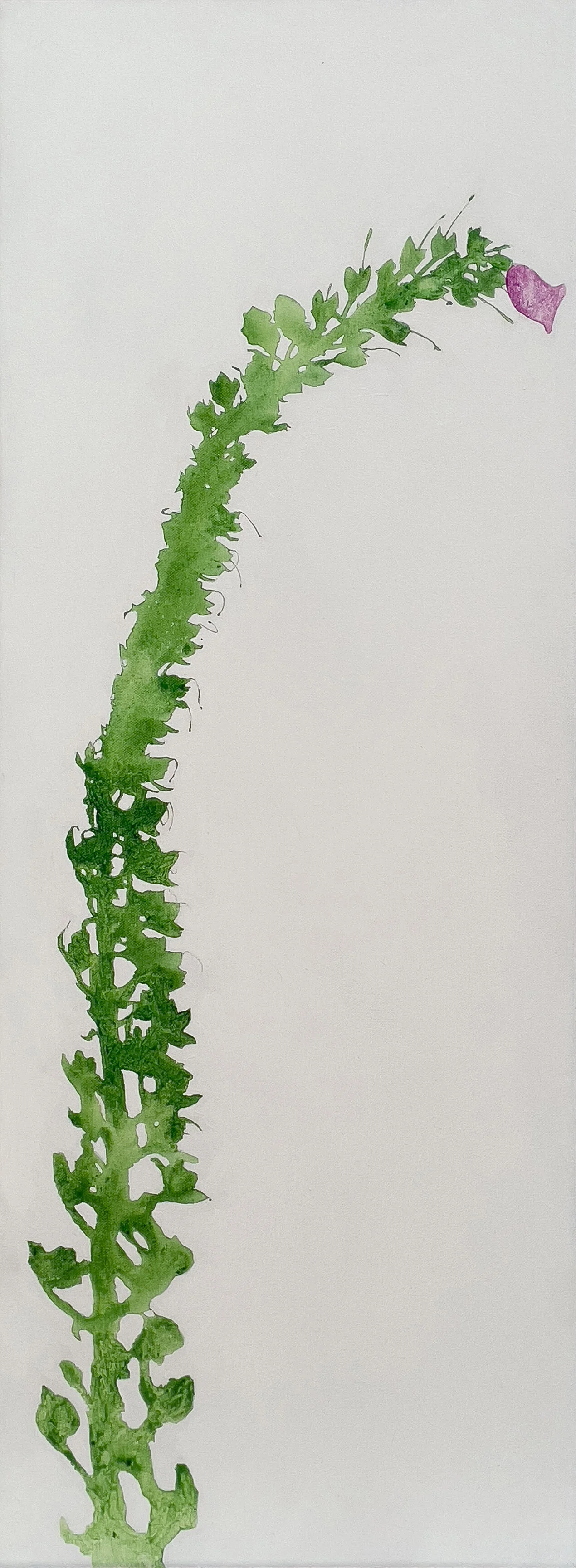 FOXGLOVE 2


acrylic on canvas
30cm x 80cm x 4cm