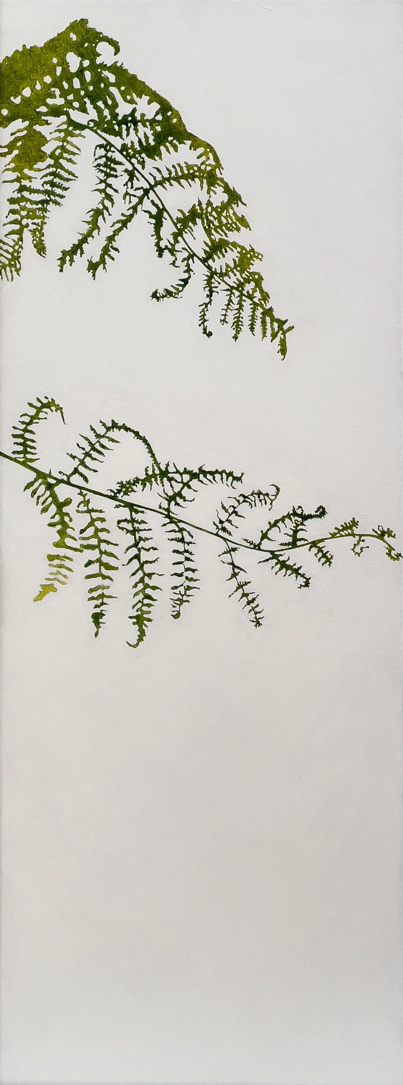 FERN
acrylic on canvas

30cm x 80cm x 4cm