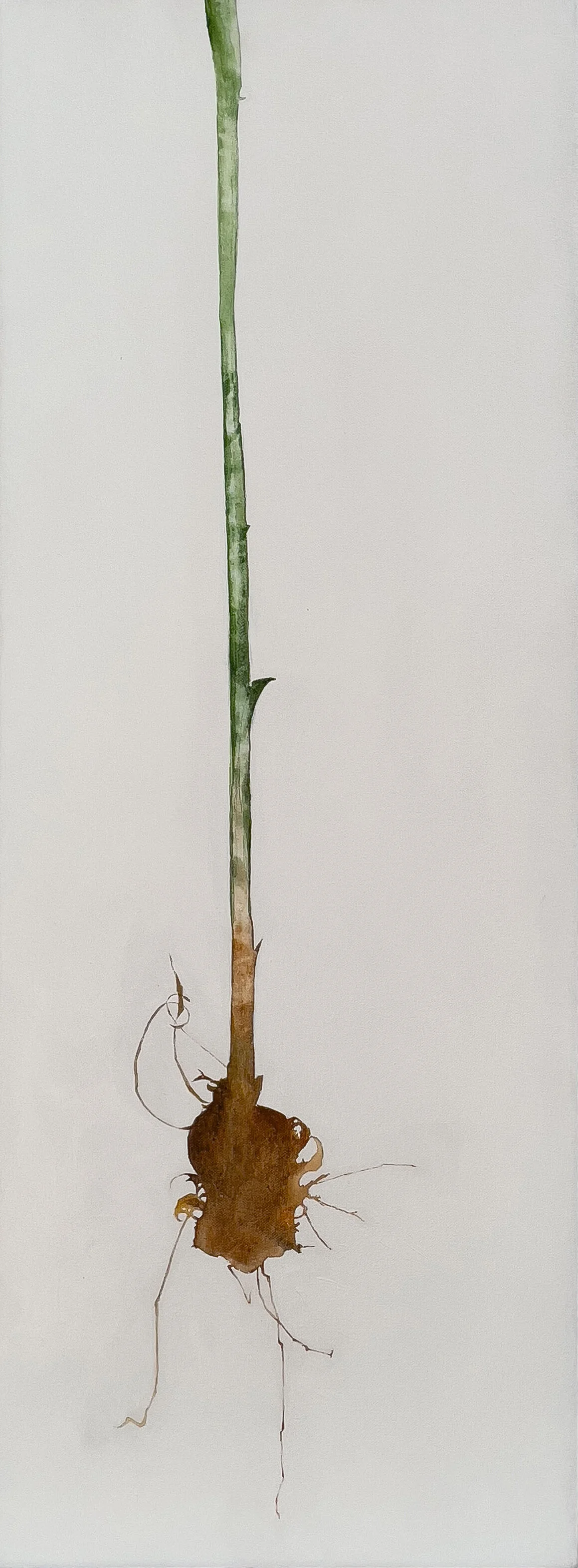 ROOT
acrylic on canvas 

30cm x 80cm x 4cm 

Exhibited:

Christmas @ Blue House Gallery 2020