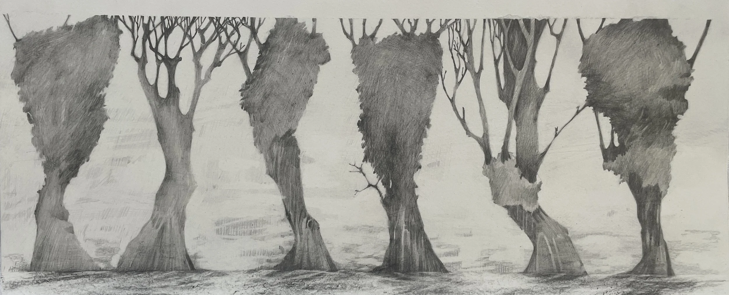 Fence 2.2 

 

   pencil on paper  Img: 17.6 x 41.9 cm    “FOLK” - West Cork Creates Exhibition 6 Aug - 27 Aug 2022  A New Opening @ 2 STUDIOS : ONE GALLERY  Sept/Oct 2022 