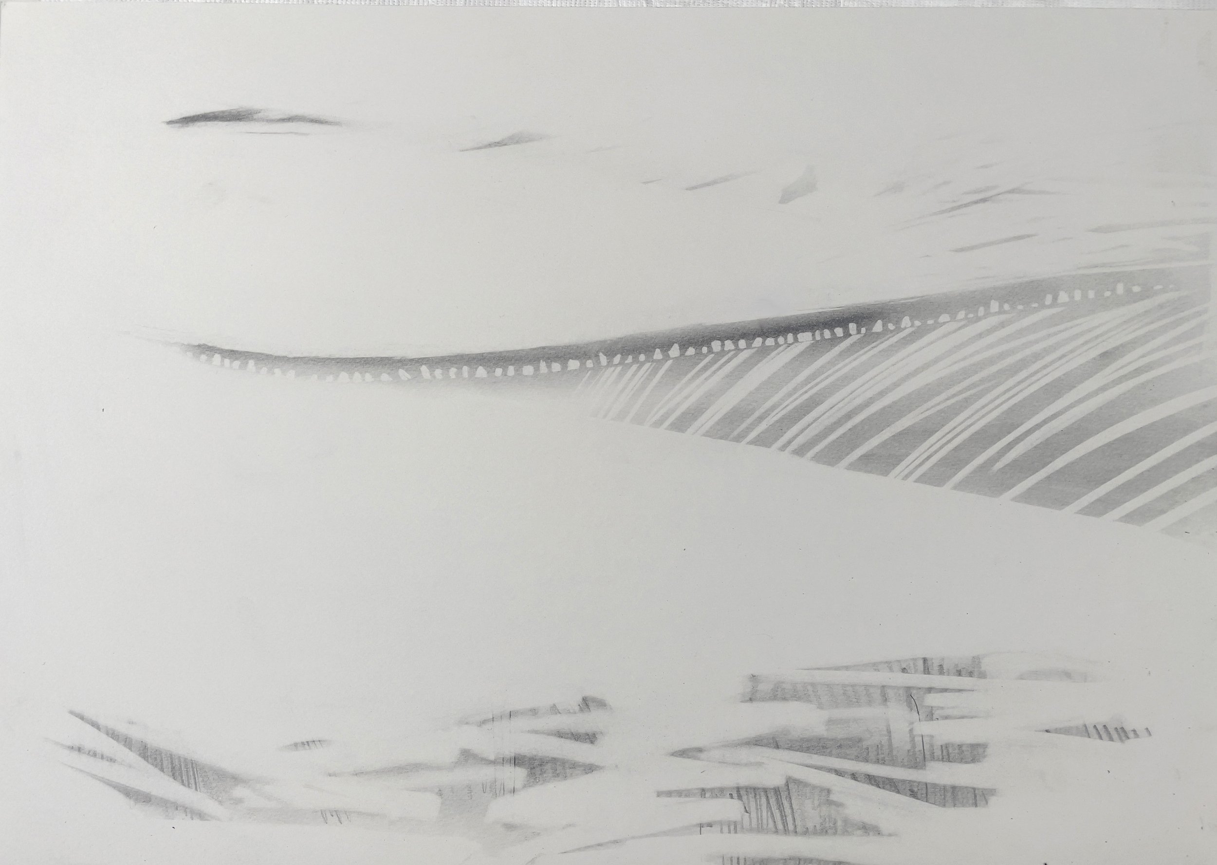  Springtide  pencil on hot-pressed fine watercolour paper  img: 29 x 42cm     frm: 42 x 55cm 
