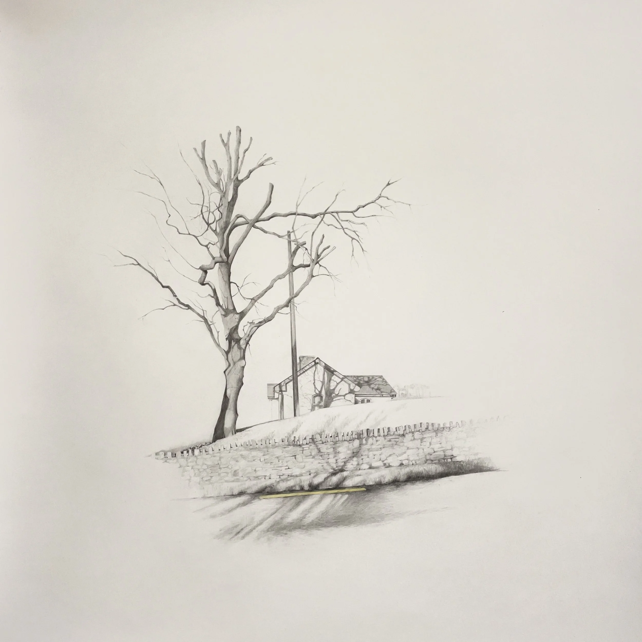 3Johanna Connor_Light traces_Pencil on HotPressed Waterford Paper 300gms_Framed 80x80cm using AR70 glass_ €1780.jpg