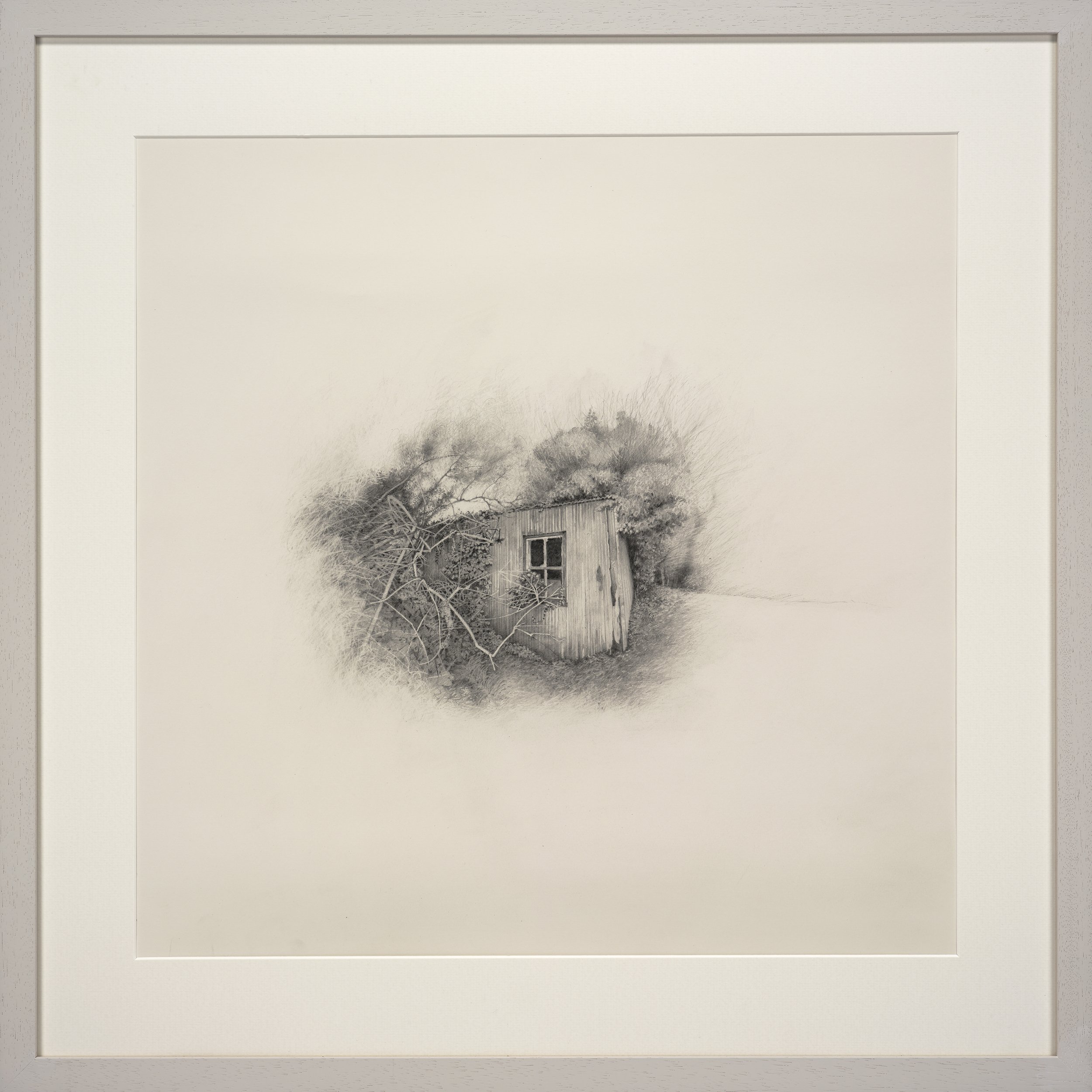 Rewilding
Clutch pencil on hp Arches paper 300grms
65 x 65cm img 80 x 80cm framed using AR70 glass