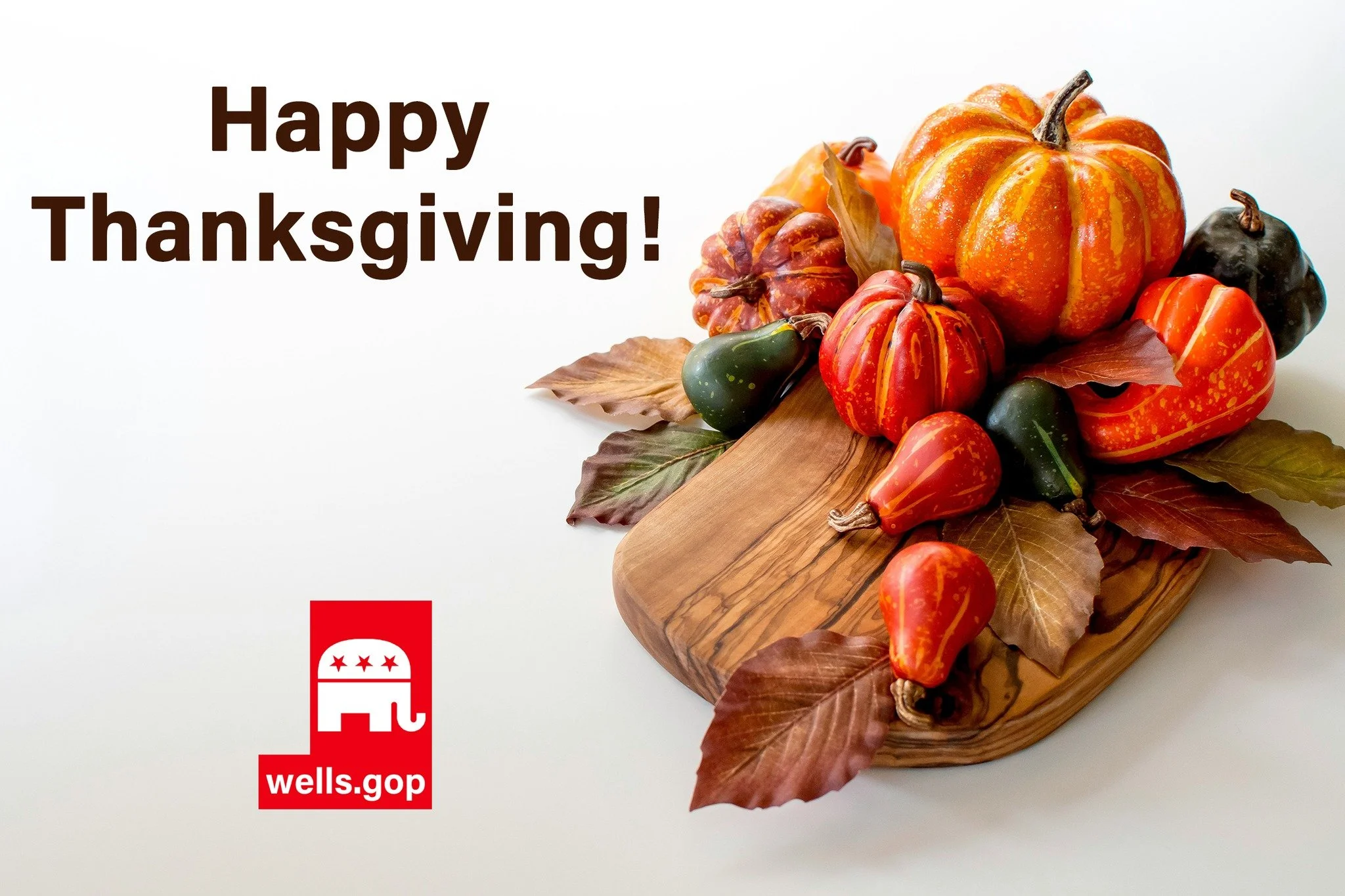 Happy Thanksgiving!