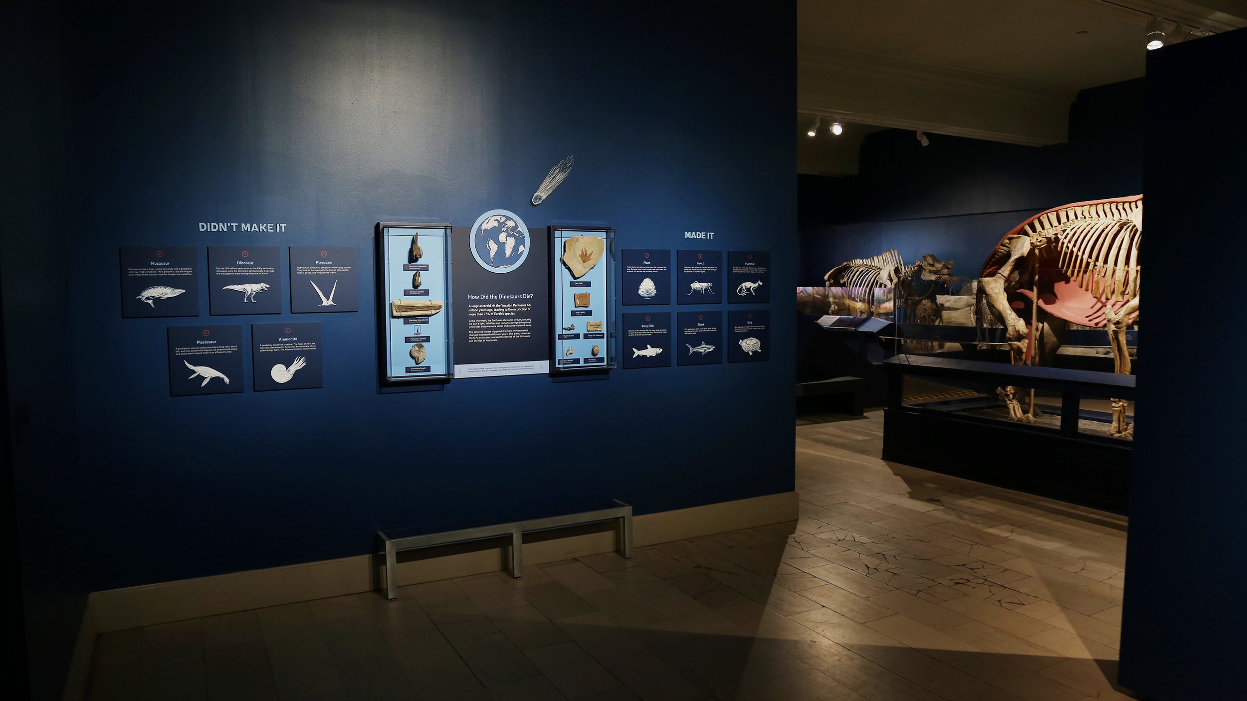 2. Survivors of Casualties.jpg