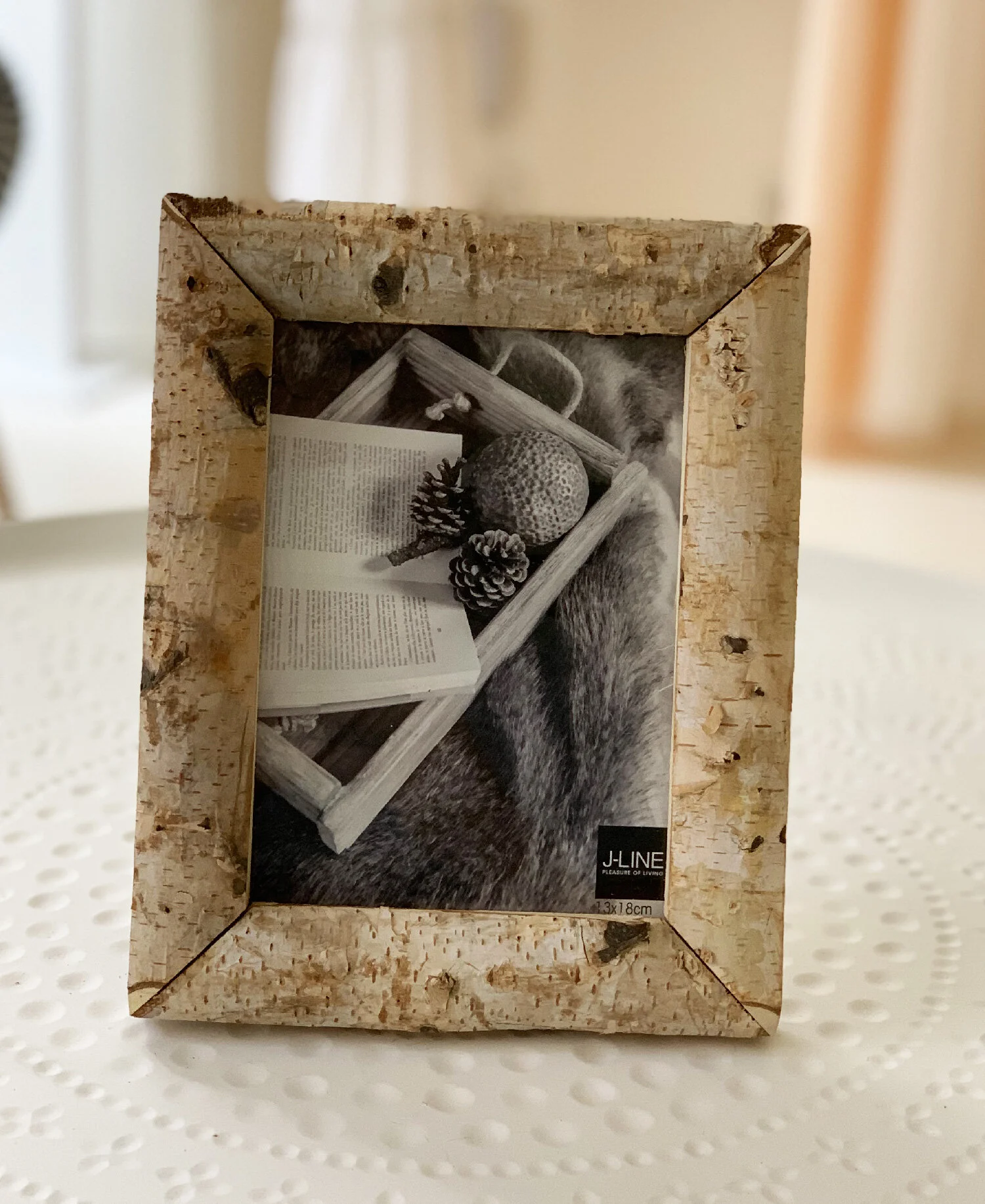 Cadre photo bouleau taille large