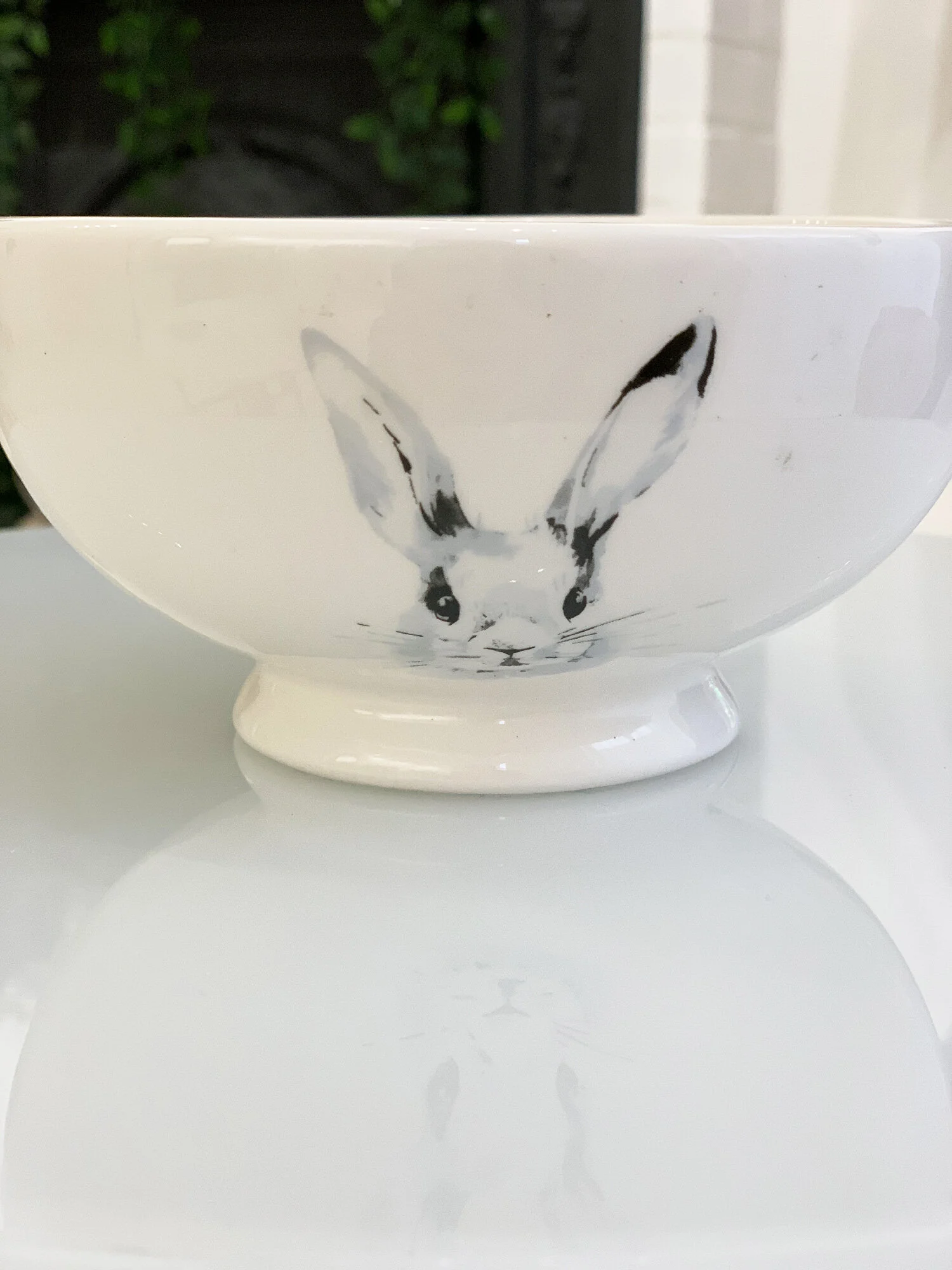 bol-lapin-2-2.jpg