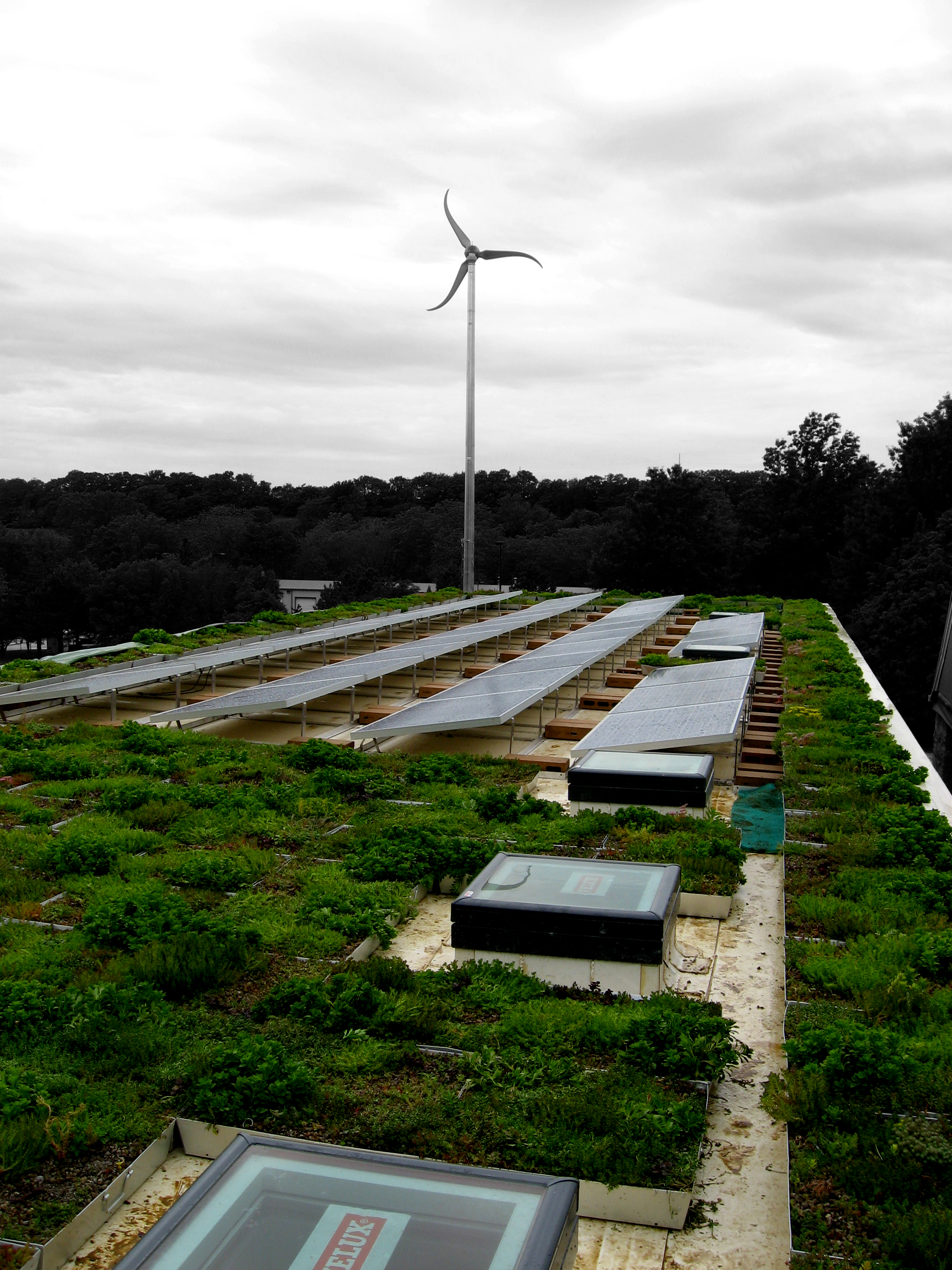 099_DOCU_PHOTO_20110518_Green Roof Blocks, PV Solar Panels, & Wind Turbine ed2.jpg
