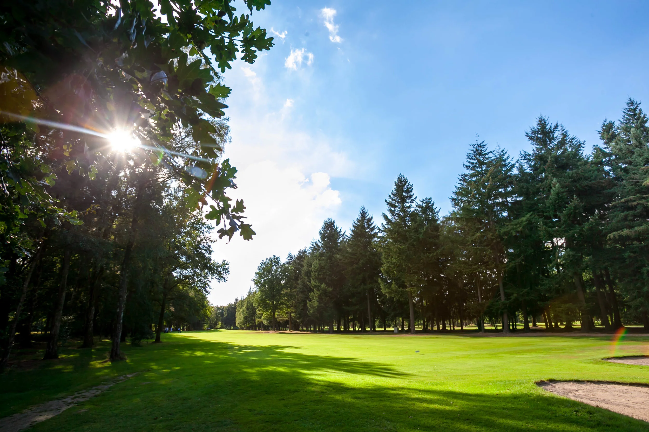 Hole 8 is een par 4 van ruim 300 meter, de eik naast de bunker aan de linkerzijde van de hole geeft deze hole haar karakter…