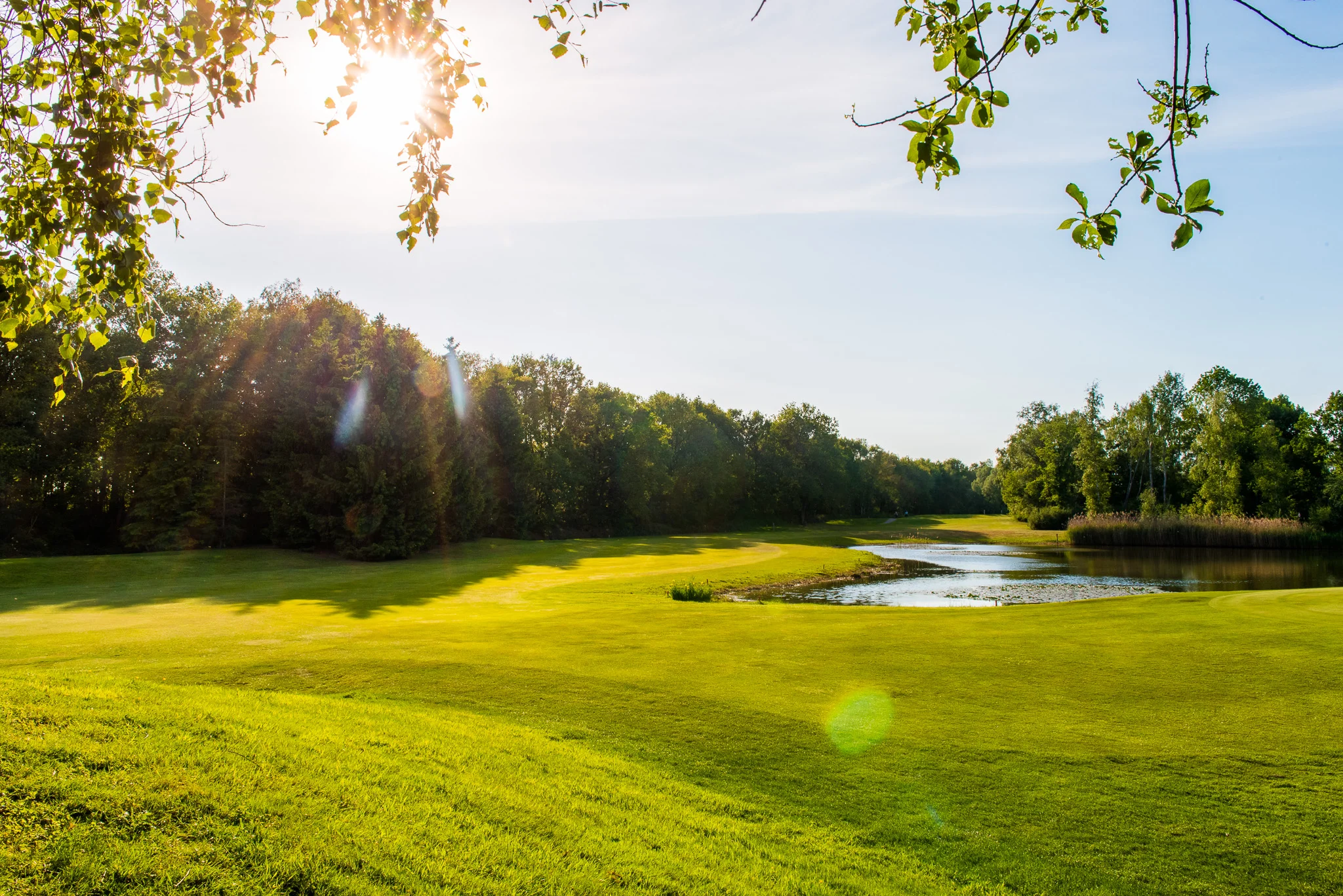 Voor het reserveren van een starttijd maken wij gebruik van het reserverings-programma ikgagolfen.nl van intogolf. Mocht je nog geen inloggegevens hebben, dan is een eigen account zo aangemaakt. Bellen kan natuurlijk ook tijdens de openingstijden van onze receptiebalie via 040.2515797.