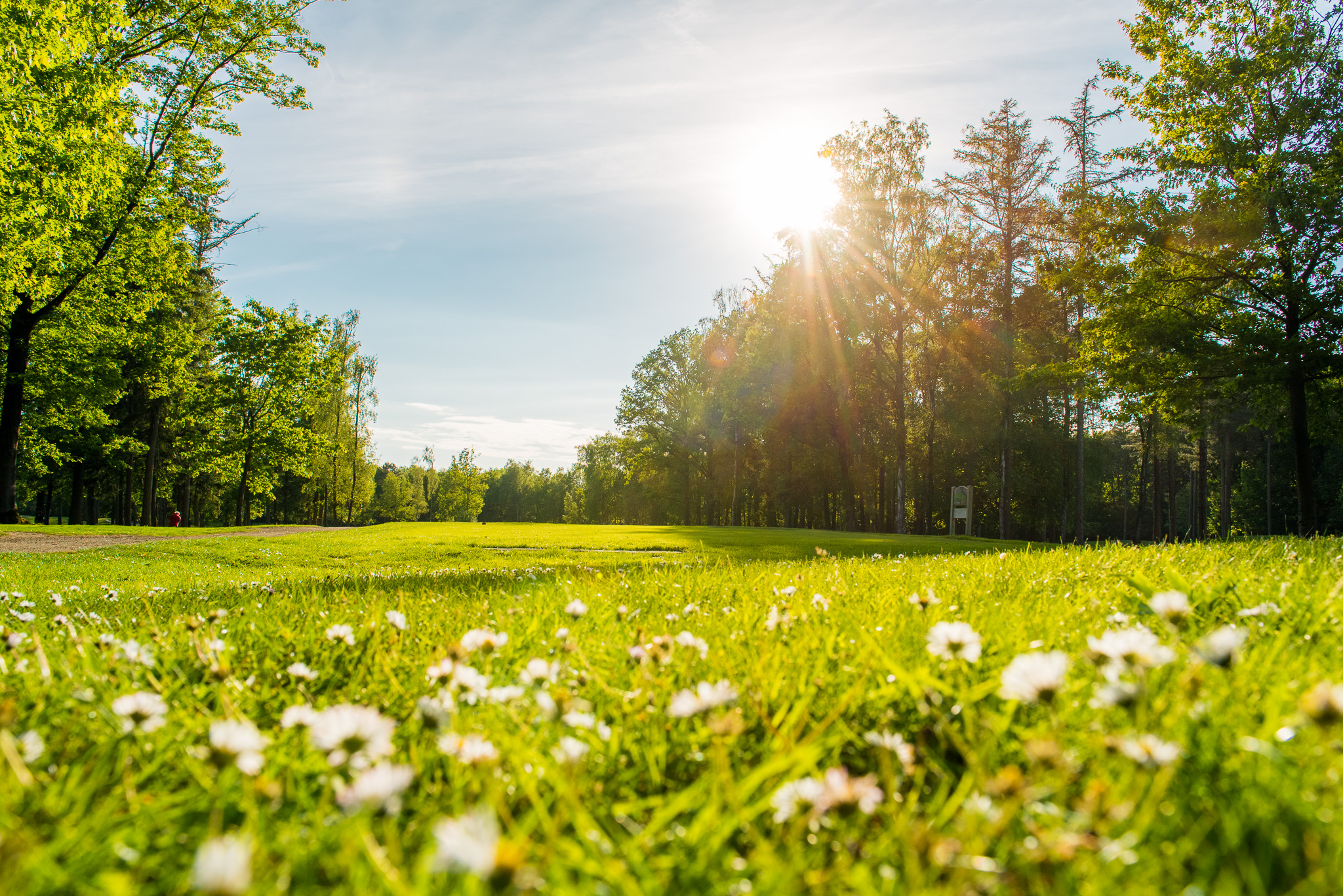 Uiteraard gedraagt u zich altijd als een ‘lady of gentleman’… u bent op tijd, heeft oog & zorg voor de baan (pitchmarks, divots & bunkers), u komt keurig gekleed, u meldt zich voorafgaand aan uw golfronde & u bent in het bezit van het juiste toegangsbewijs. Daarnaast zijn er om het spel in goede banen te leiden nog een aantal ‘Local Rules’. Local Rules golfbaan welschap (versie juni 2019) 1. BUITEN DE BAAN (OUT OF BOUNDS) Buiten de baan is aangegeven met witte palen of wit geschilderde hekdelen. 2. VASTE OBSTAKELS Alle markeringspalen van hindernissen en GUR, alsmede afstandspalen zijn vaste obstakels. Indien er sprake is van belemmering door zo’n obstakel dan mag deze ontweken worden volgens regel 16.1. LET WEL: het uitnemen van genoemde palen is verboden. 3. HINDERNISSEN Alle hindernissen op de baan zijn voorzien van markeringen. Dit houdt in dat de rabatten (dit zijn de sloot-vormige structuren ter hoogte van hole 6, 7 en 11) als algemeen gebied beschouwd moeten worden omdat deze niet als hindernis gemarkeerd zijn. 4. AARDEN WAL LINKS VAN DE GREEN VAN HOLE 11 Indien een bal, die tegen de aarden wal links van de green van hole 11 ligt, onspeelbaar verklaard wordt, mag de speler/speelster besluiten te handelen volgens de normale procedure (regel 19). Als extra optie mag, met bijtelling van 1 strafslag, een bal gedropt worden in de droppingzone achter de green. 5. GROND IN BEWERKING (GUR) Het is verboden te spelen uit gebieden die als GROND IN BEWERKING aangemerkt zijn. Hiermee worden bedoeld: · gebieden gemarkeerd door middel van blauwe palen of wit omlijnde gebieden waarin één of meer blauwe palen geplaatst zijn; · alle zomer- of wintergreens die voorzien zijn van een blauwe paal of blauwe bol; · aangepaalde bomen of bomen voorzien van een blauw lint; · de mierenhoop aan de linker zijde van hole 8. Ontwijken volgens regel 16.1. Straf bij overtreding van een plaatselijke regel: Algemene straf (verlies van de hole bij matchplay, twee slagen bij strokeplay) 6. TIJDELIJKE PLAATSELIJKE REGELS Door de storm van 4 juni zijn er een groot aantal bomen op de baan omgewaaid. Grote delen zijn inmiddels opgeruimd maar helaas nog niet alles vandaar deze Tijdelijke Plaatselijke Regel. Omgewaaide bomen, de schade die hierdoor ontstaan is en de delen van die bomen die nog niet opgeruimd zijn mogen beschouwd worden als grond in bewerking (GUR). GUR mag volgens Regel 16 zonder strafslag ontweken worden. OVERIGE INFORMATIE Op alle holes worden afstanden tot het midden van de green aangegeven door houten palen aan de rechter en/of linker kant van de fairway op 100 en/of 150 meter, en door middel van afstandsplaatjes op de sprinklerdeksels in de fairway. Indien een Dropping Zone aangegeven is d.m.v. een bord moet binnen 1 clublengte van dit bord en niet dichter bij de hole gedropt worden. De voorgreens, aprons en greens zijn gebieden die niet met een trolley of buggy betreden mogen worden. Buggy’s dienen op de holes 6, 7 & 11 de paden te volgen. Repareer uw pitchmarks, herstel uw divots, en gebruik de bunkerhark om zo ieders plezier in de baan te vergroten.
