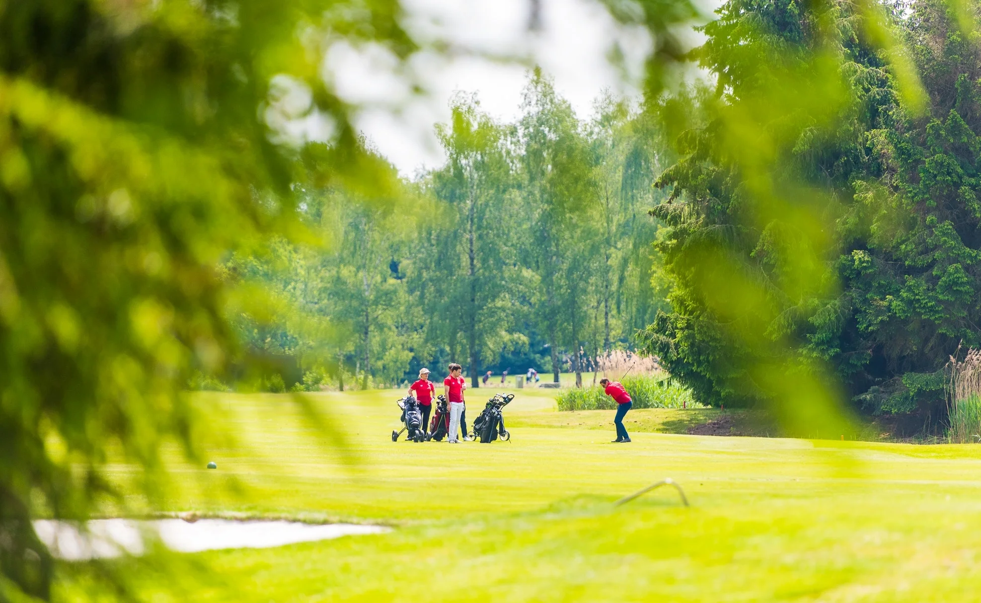  Wilt u  zelf ervaren  hoe het is om abonnementhouder te zijn op welschap en te genieten van een onbeperkt speelrecht op de 18 holes golfbaan, de oefenfaciliteiten &amp; het clublidmaatschap, dan kunt u éénmalig voor € 299,- een proefabonnement afslu