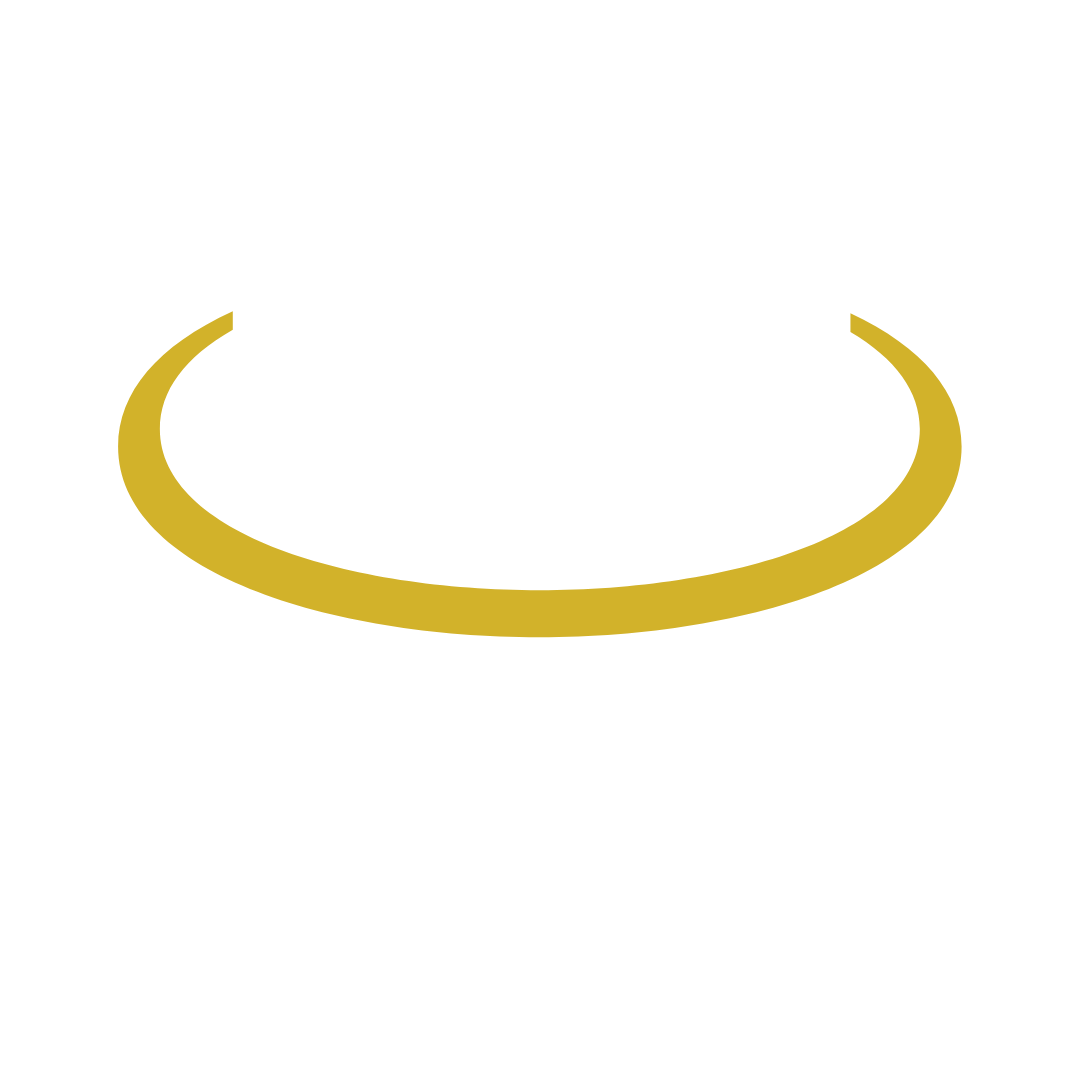 Logo of 1RoundTable Partners featuring the letters "1RT" with a network design and a gold arc.