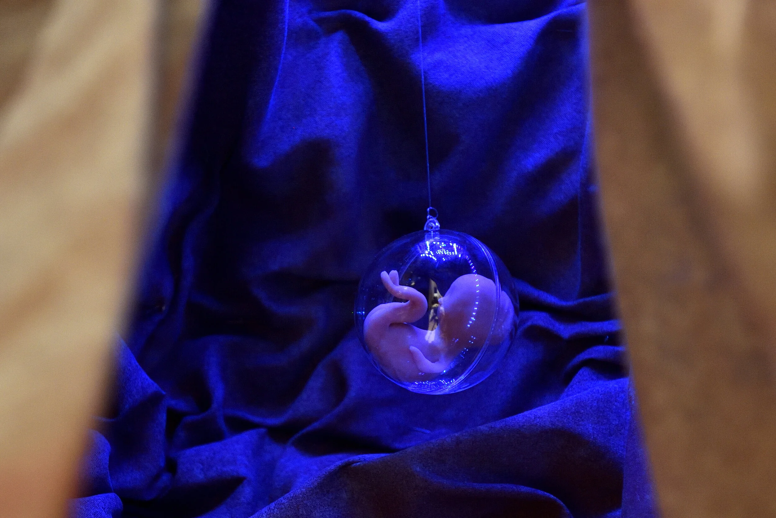 Art X Science 47.JPG