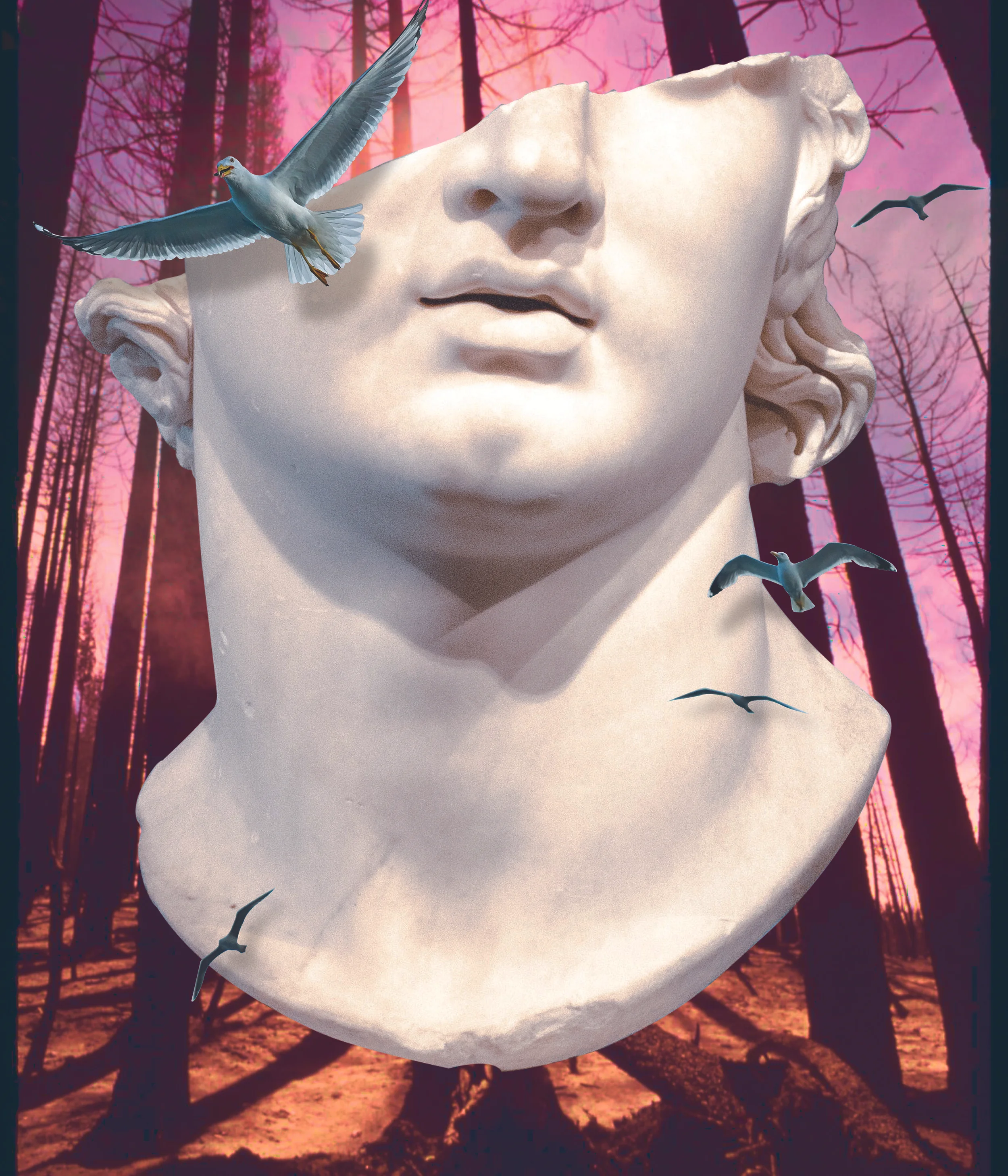 AMANWALKSINTOTHEWOODS.jpg