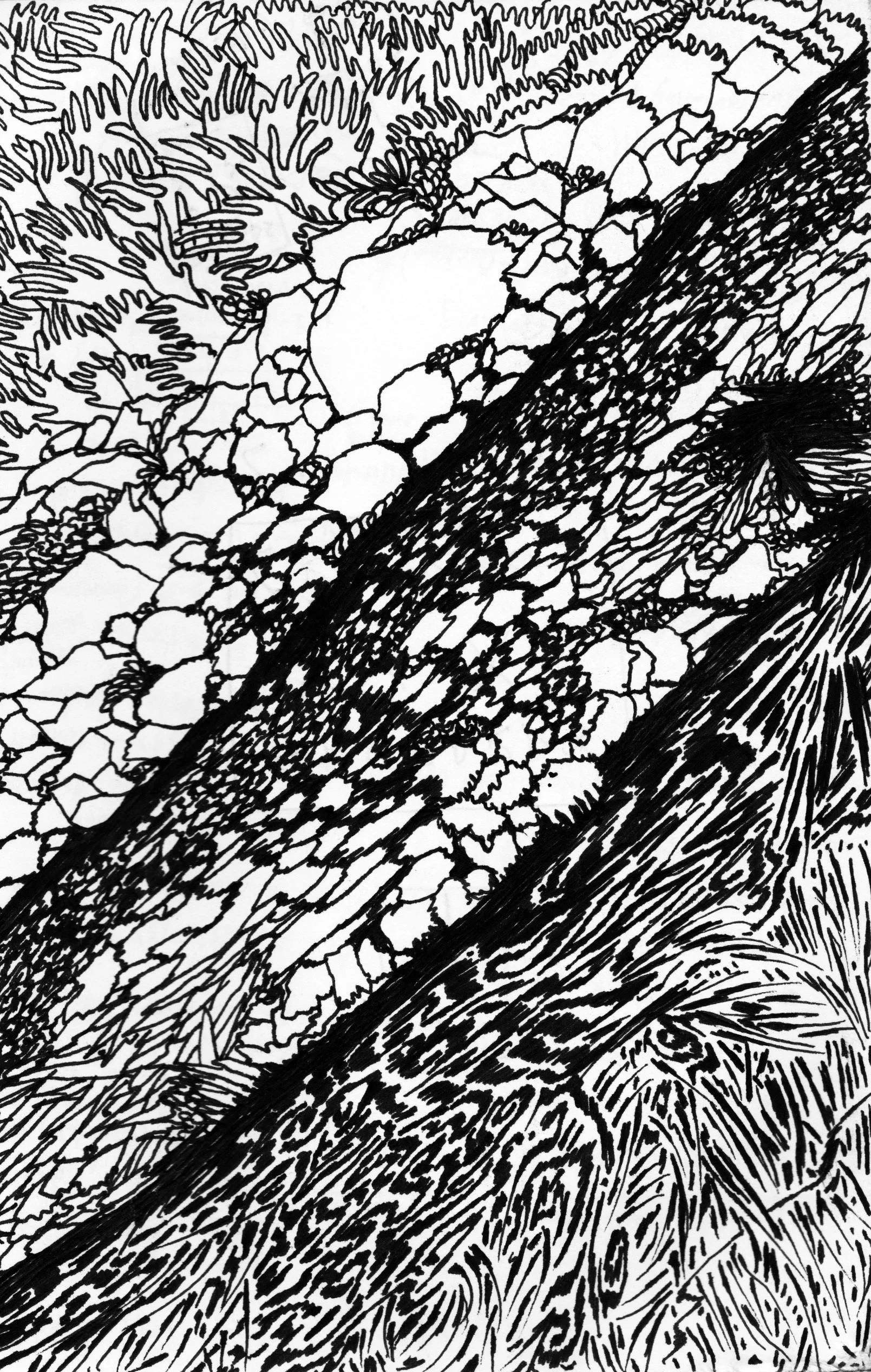 Strata