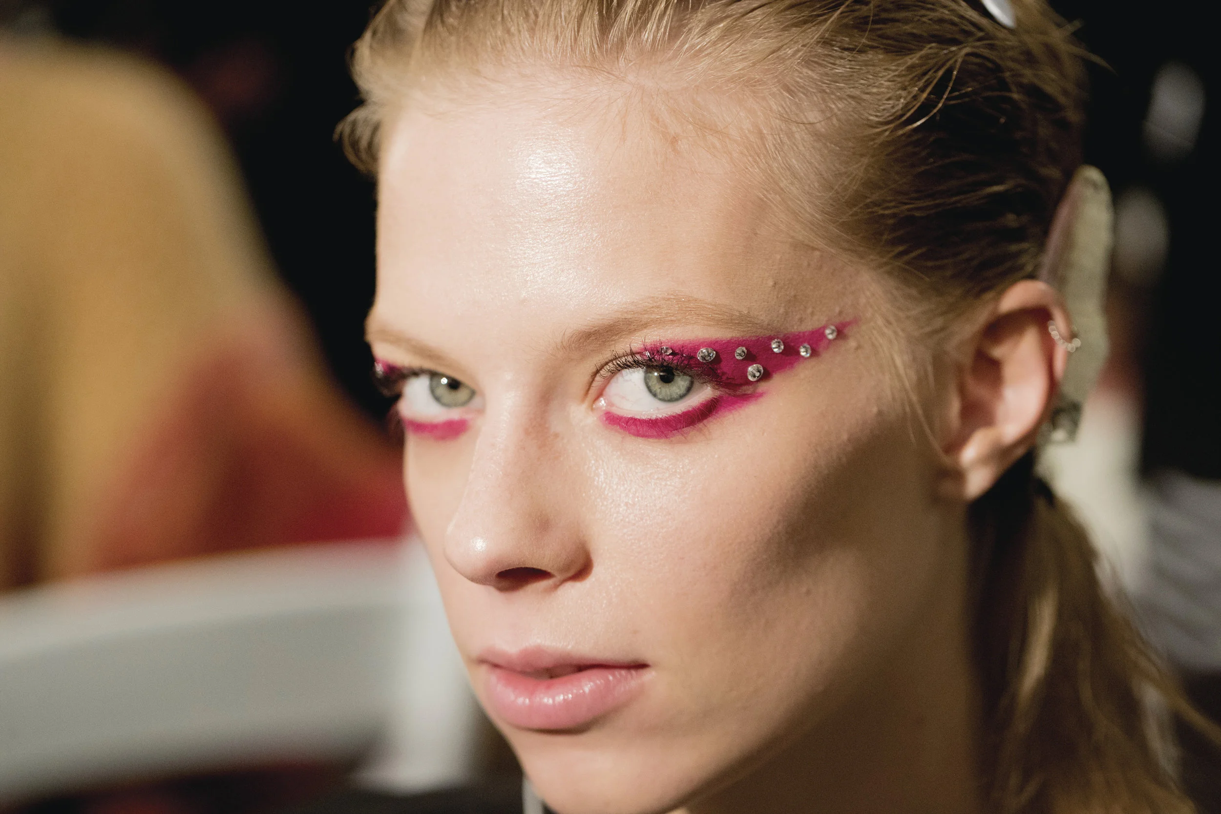 The Supermodel Project Ebook &amp; Course Chapters 1-4