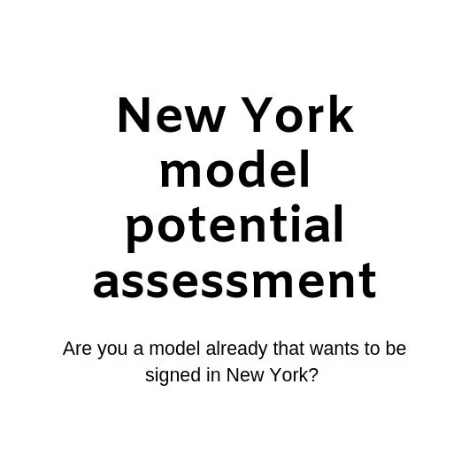 New York Model Potential Assessment