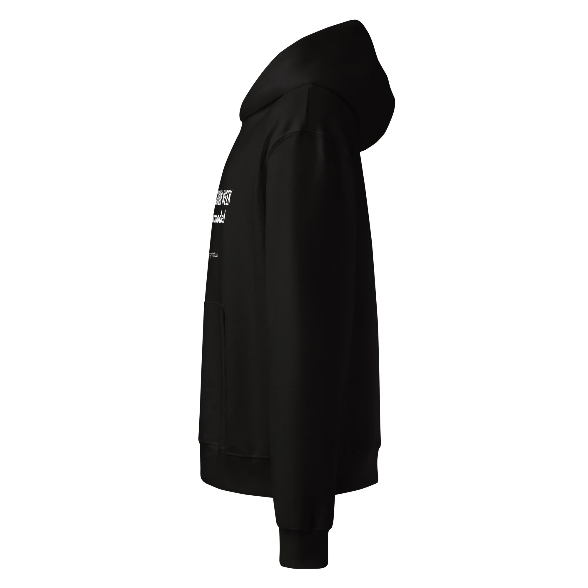 unisex-oversized-heavyweight-hoodie-black-left-68c59c41d4dcc.jpg